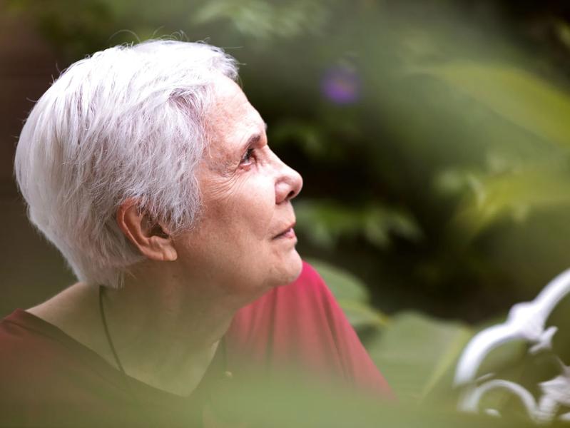 Image for The Radar: Anna Maria Maiolino