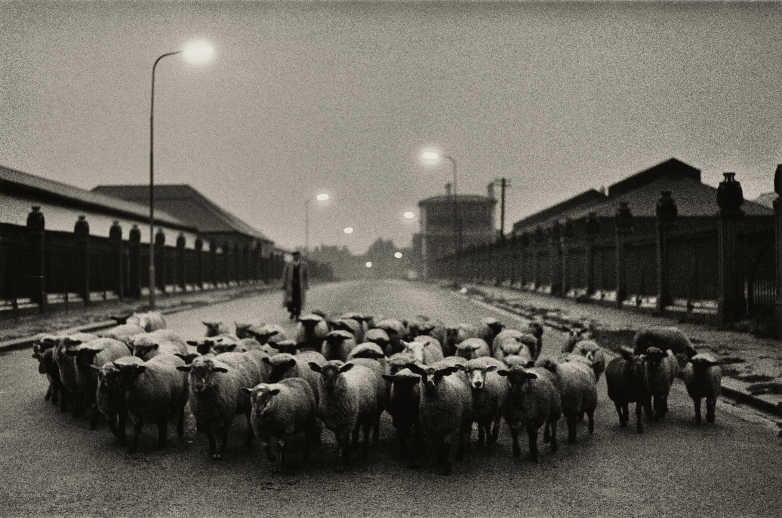 Image for exhibition titled Don McCullin