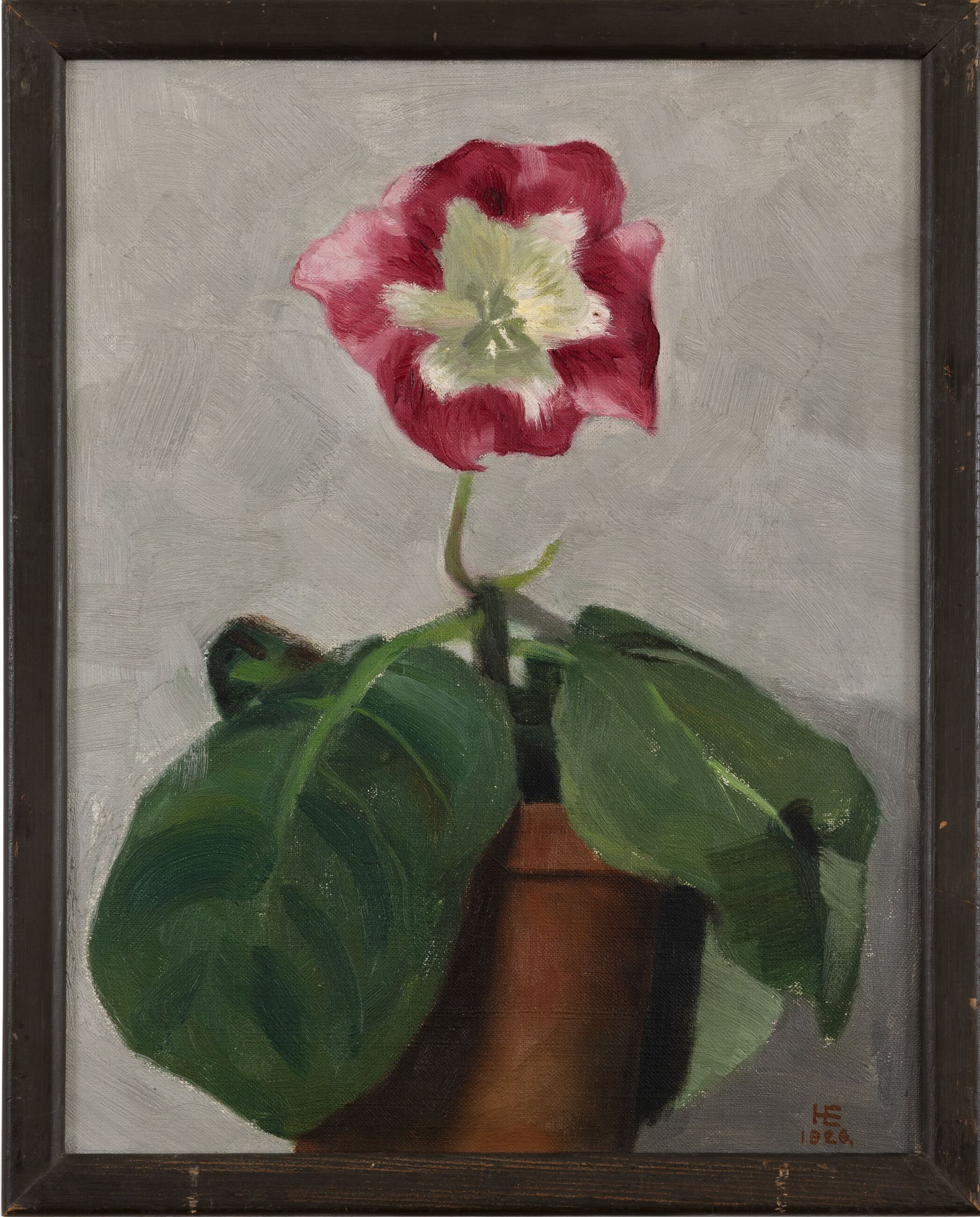 Image for exhibition titled Hans Emmenegger