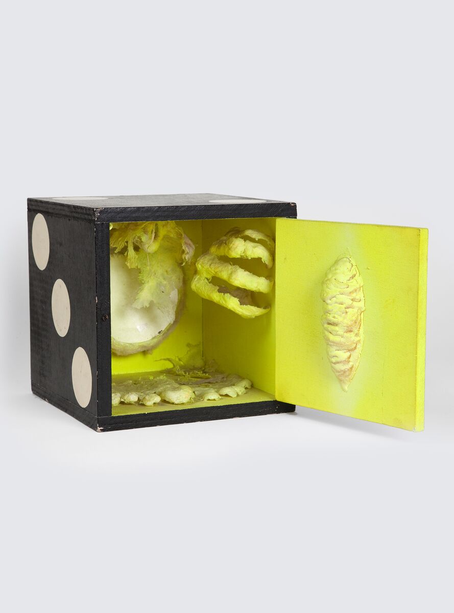 Image for exhibition titled Tetsumi Kudo