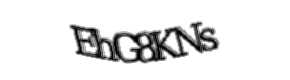 Security check image, please type the characters shown