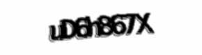 Security check image, please type the characters shown