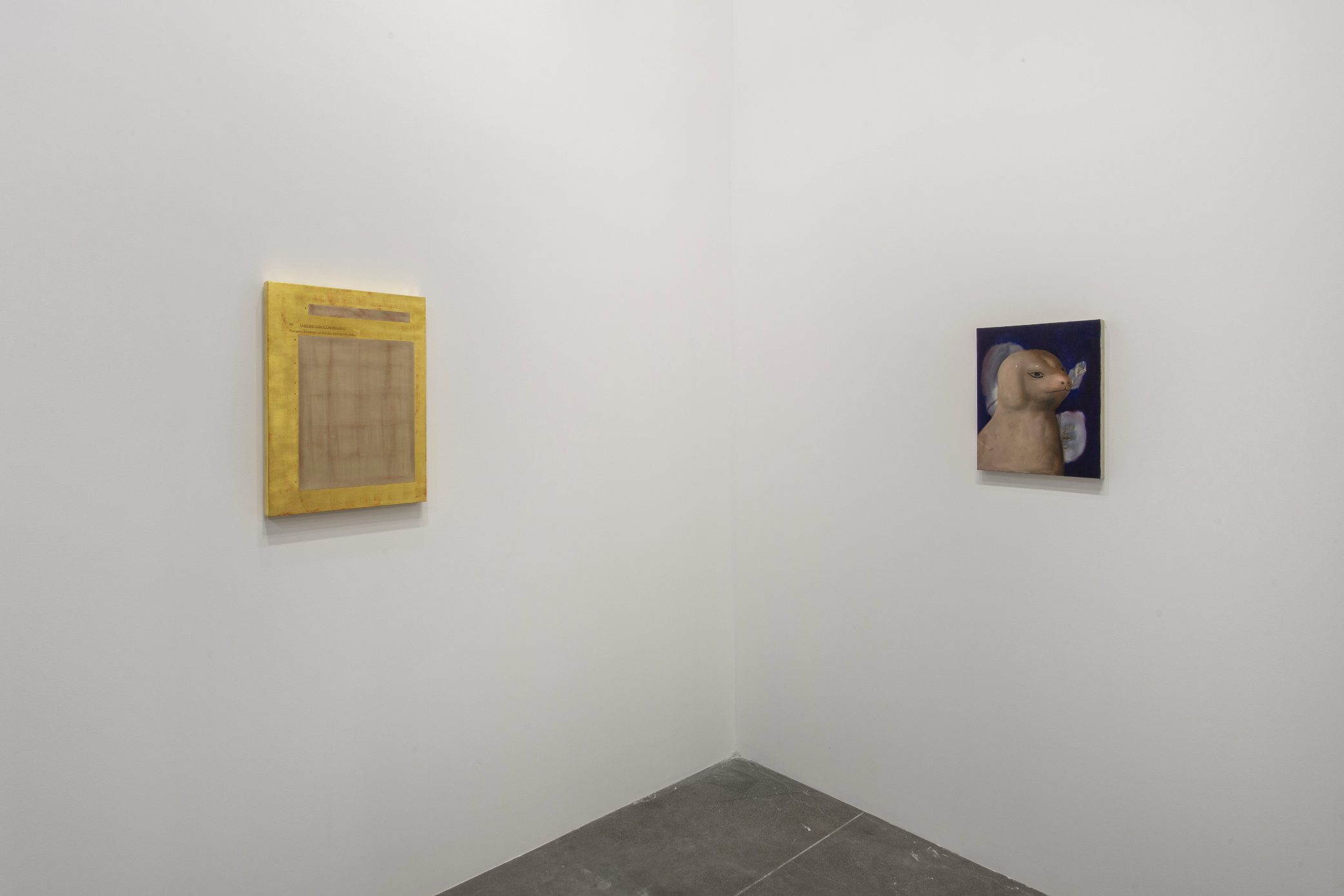 Installation view image for Installation Views