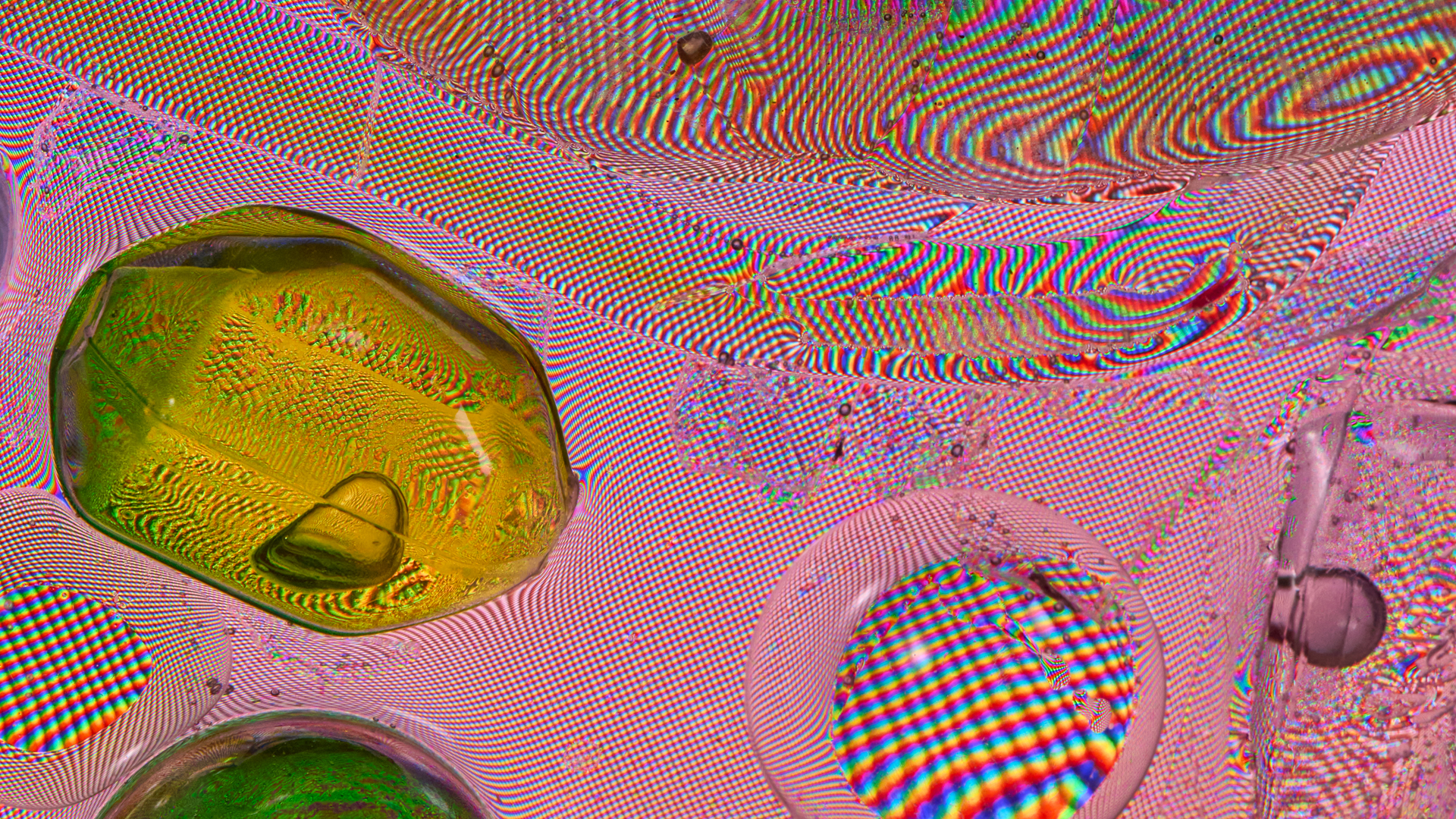 Thumbnail image for exhibition titled Light