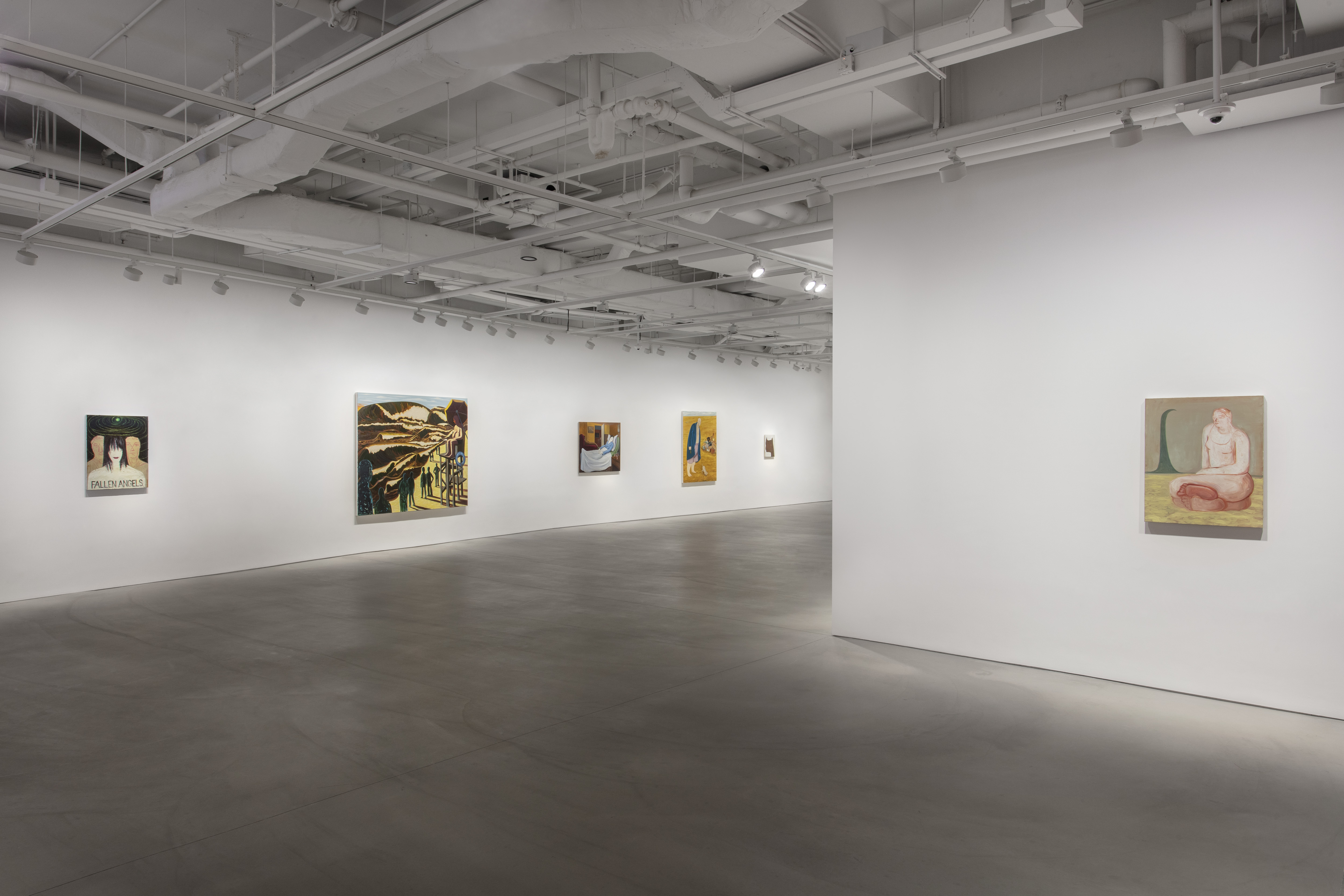 Installation view image for Installation Views