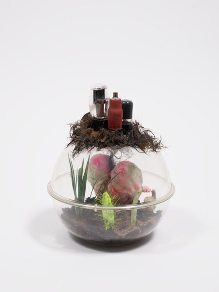 Image for Irradiated Gardens