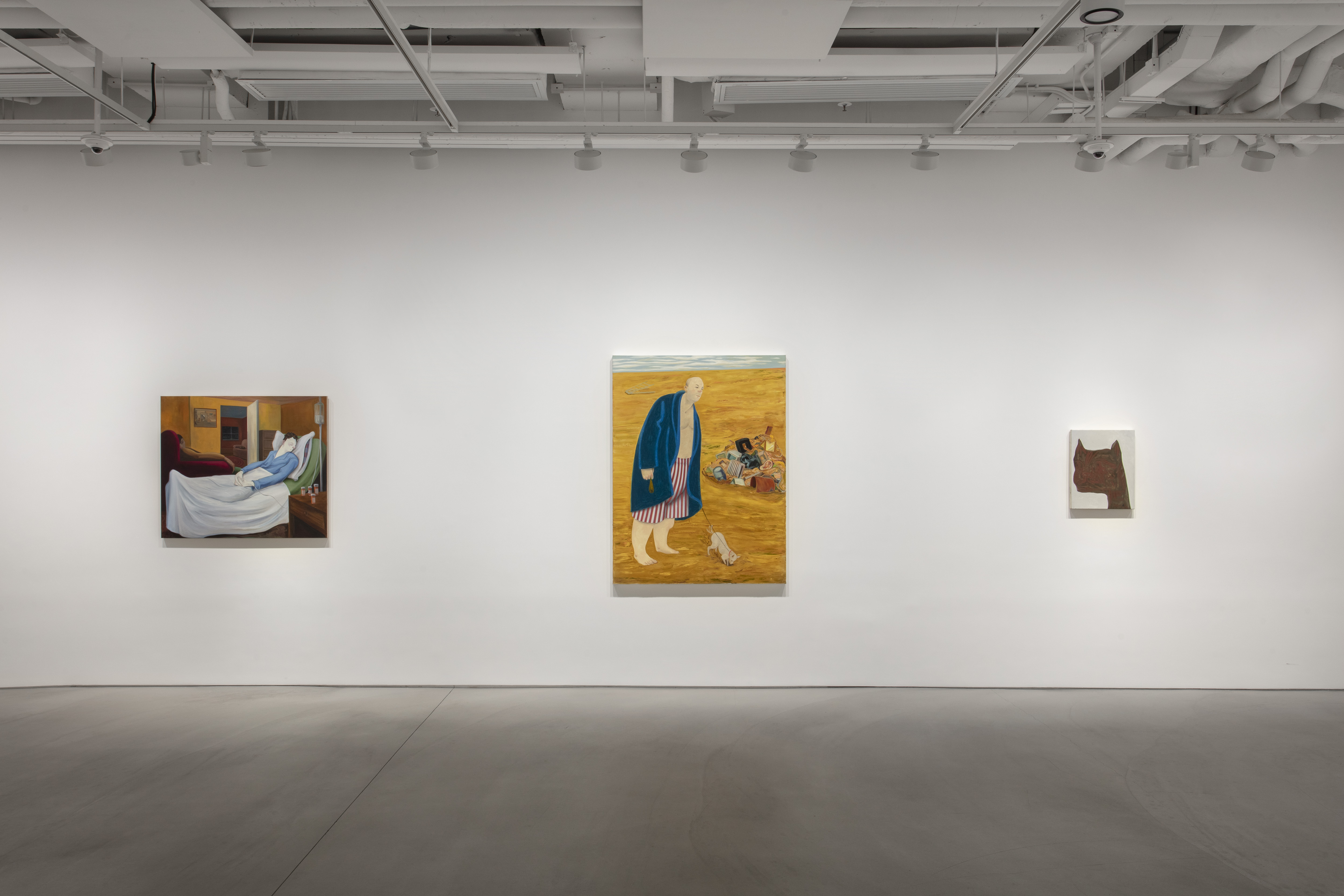 Installation view image for Installation Views