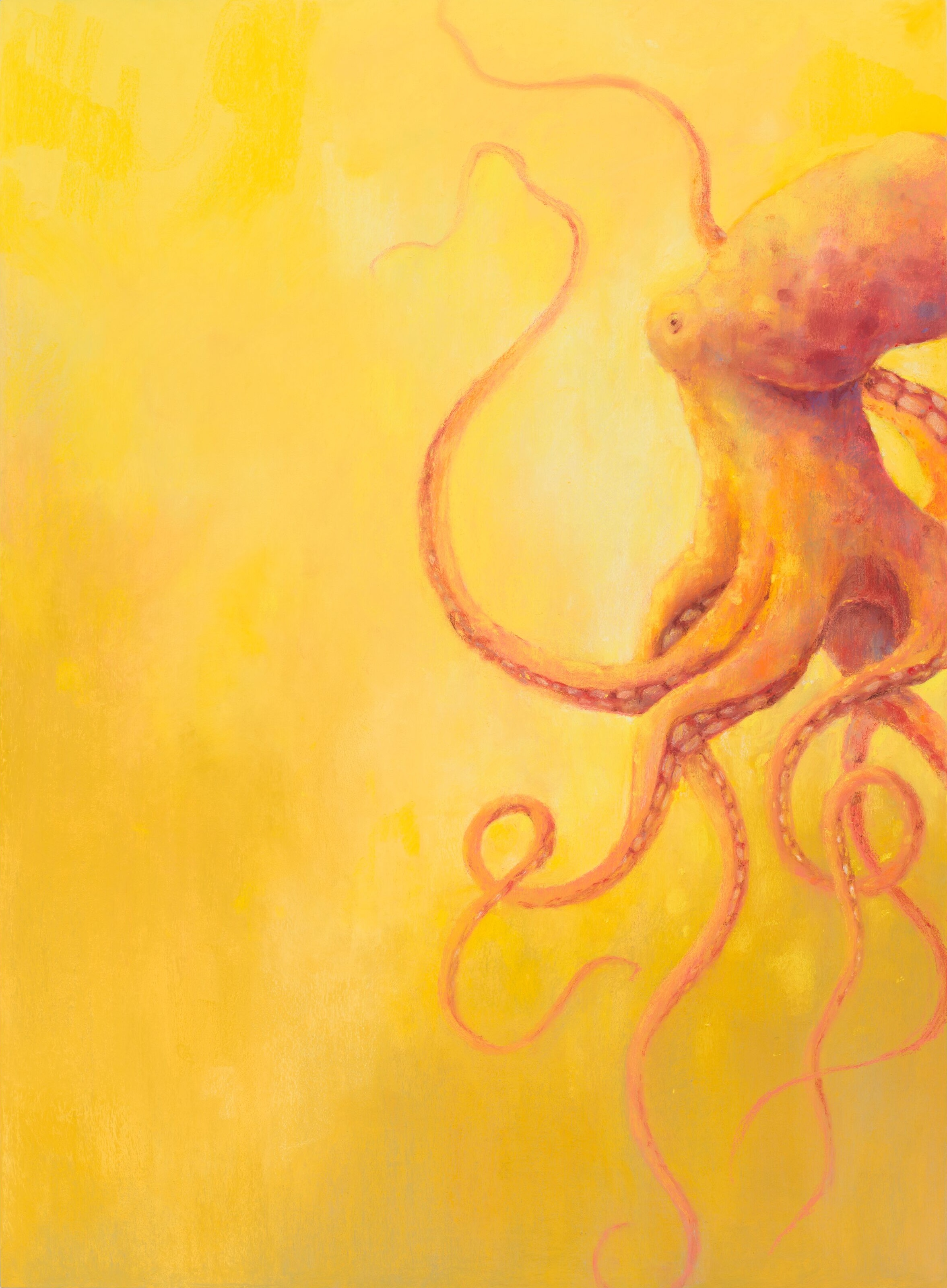 Image for exhibition titled Nicolas Party