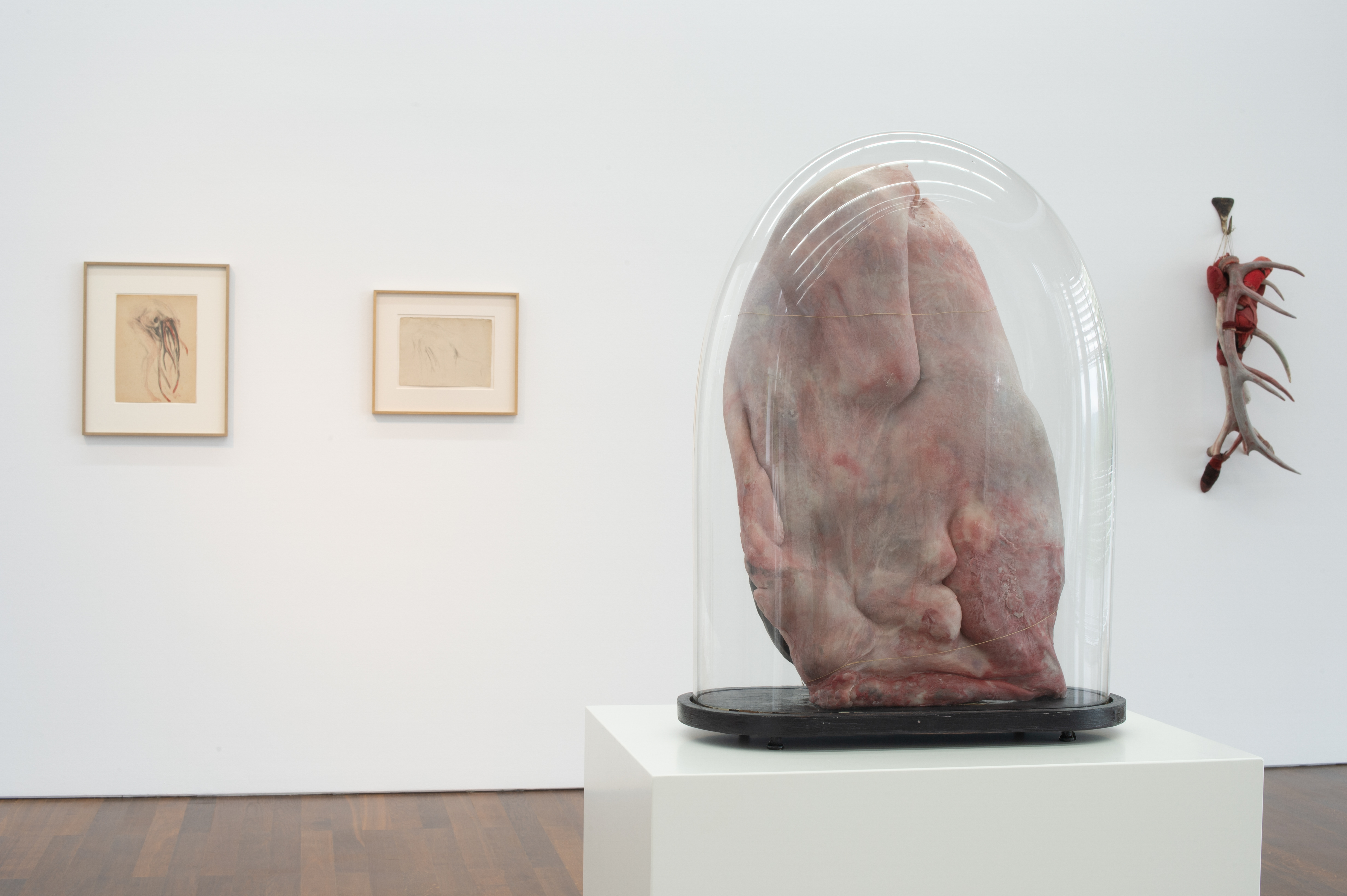 'Berlinde De Bruyckere. PEL / Becoming the figure', Arp Museum Bahnhof Rolandseck, Remagen, Germany, 2022