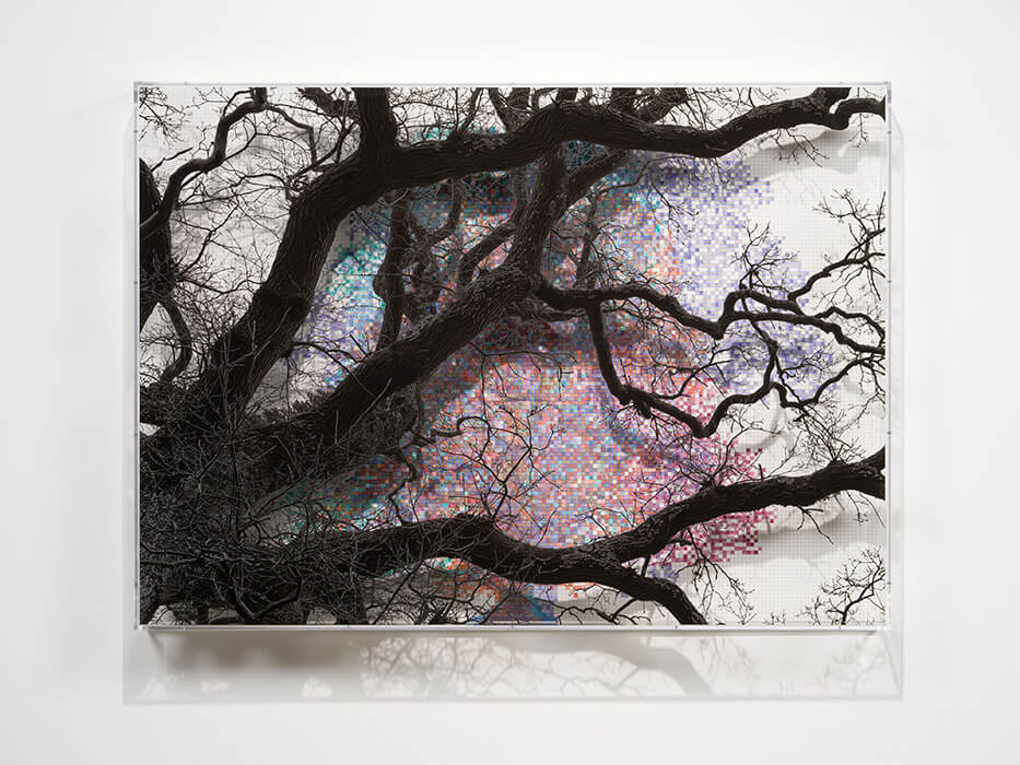 Thumbnail image for exhibition titled Numbers and Trees: London Series 2, Tree #5, Falcon Highwalk