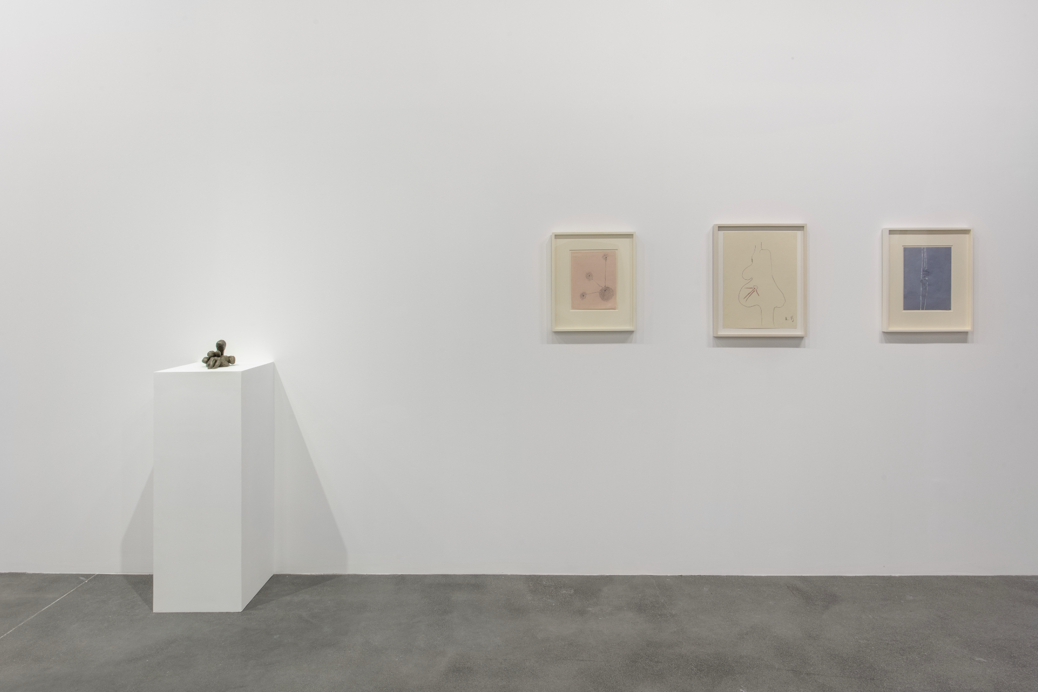 Installation view image for Installation Views