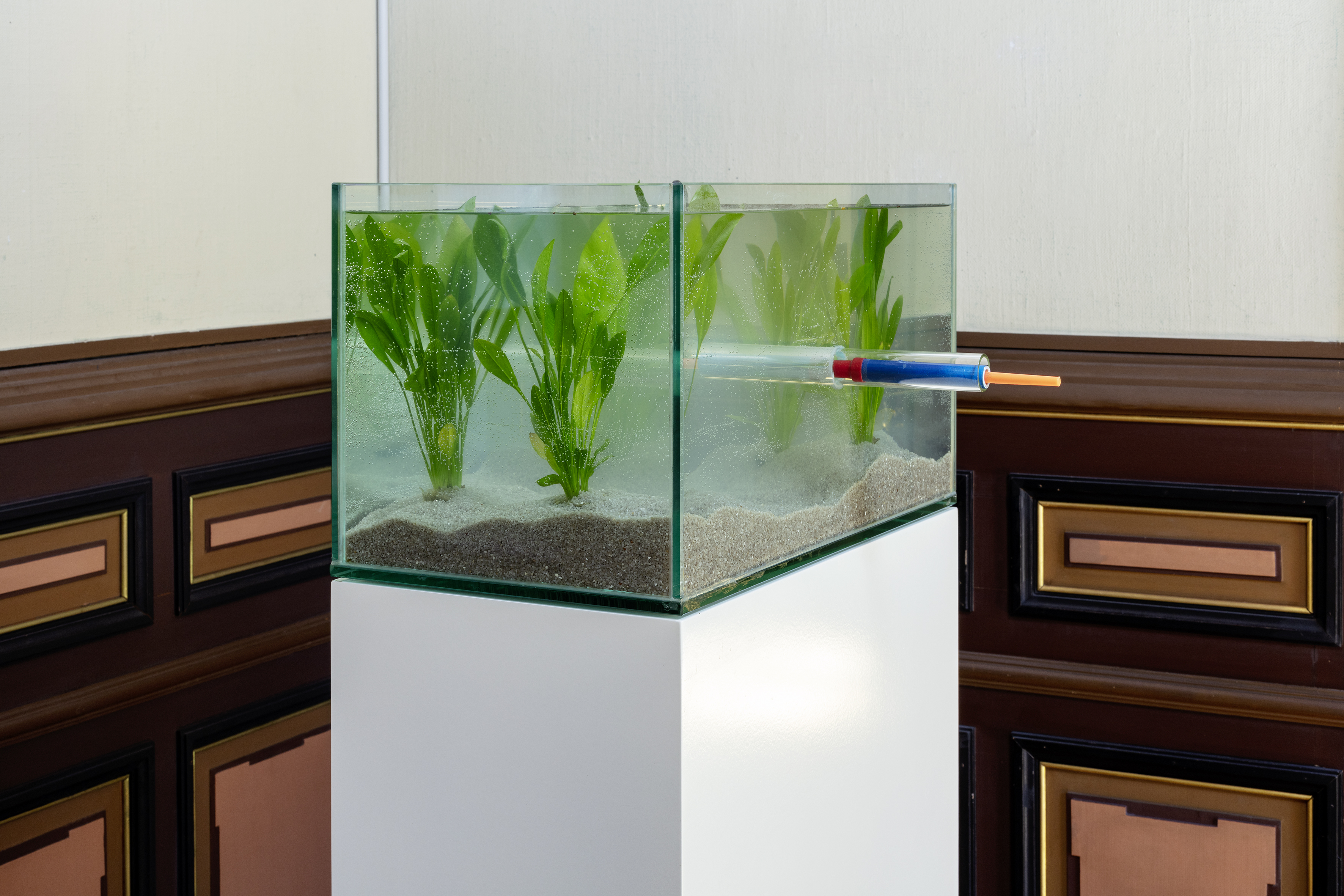 Installation view, Kirchhoferhaus Kunstmuseum, St. Gallen, Switzerland