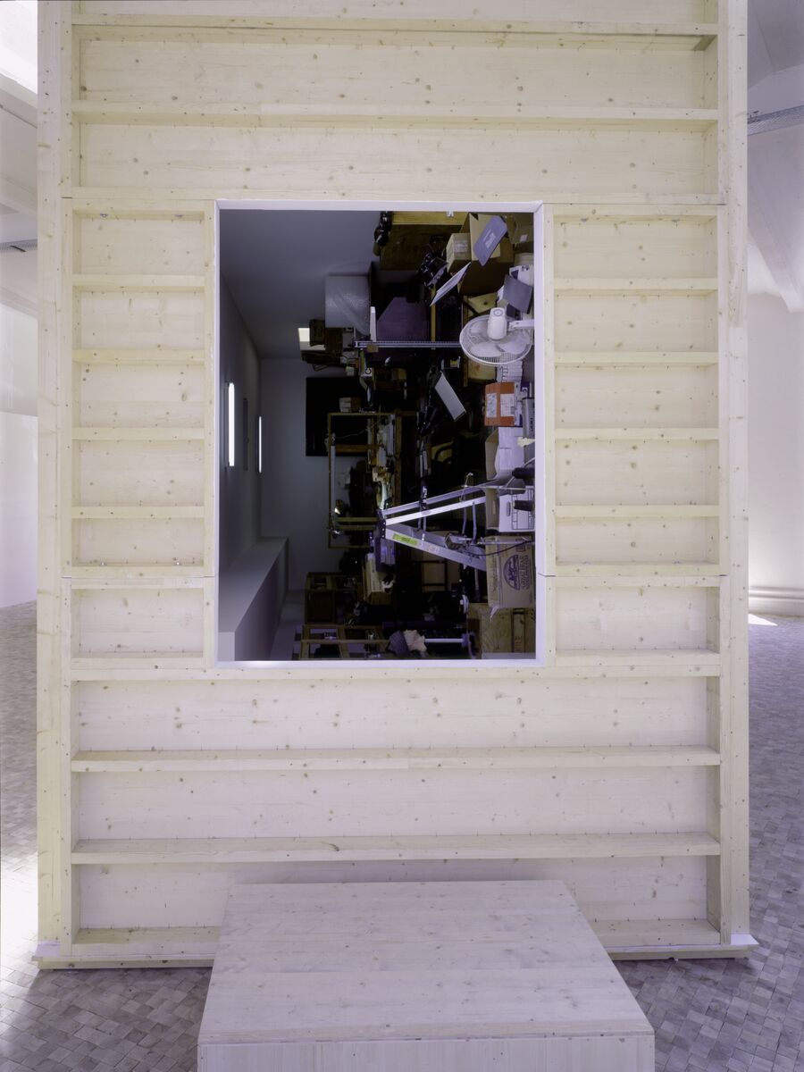 Paul McCarthy - “Dimensions of the Mind”. The Denial and the