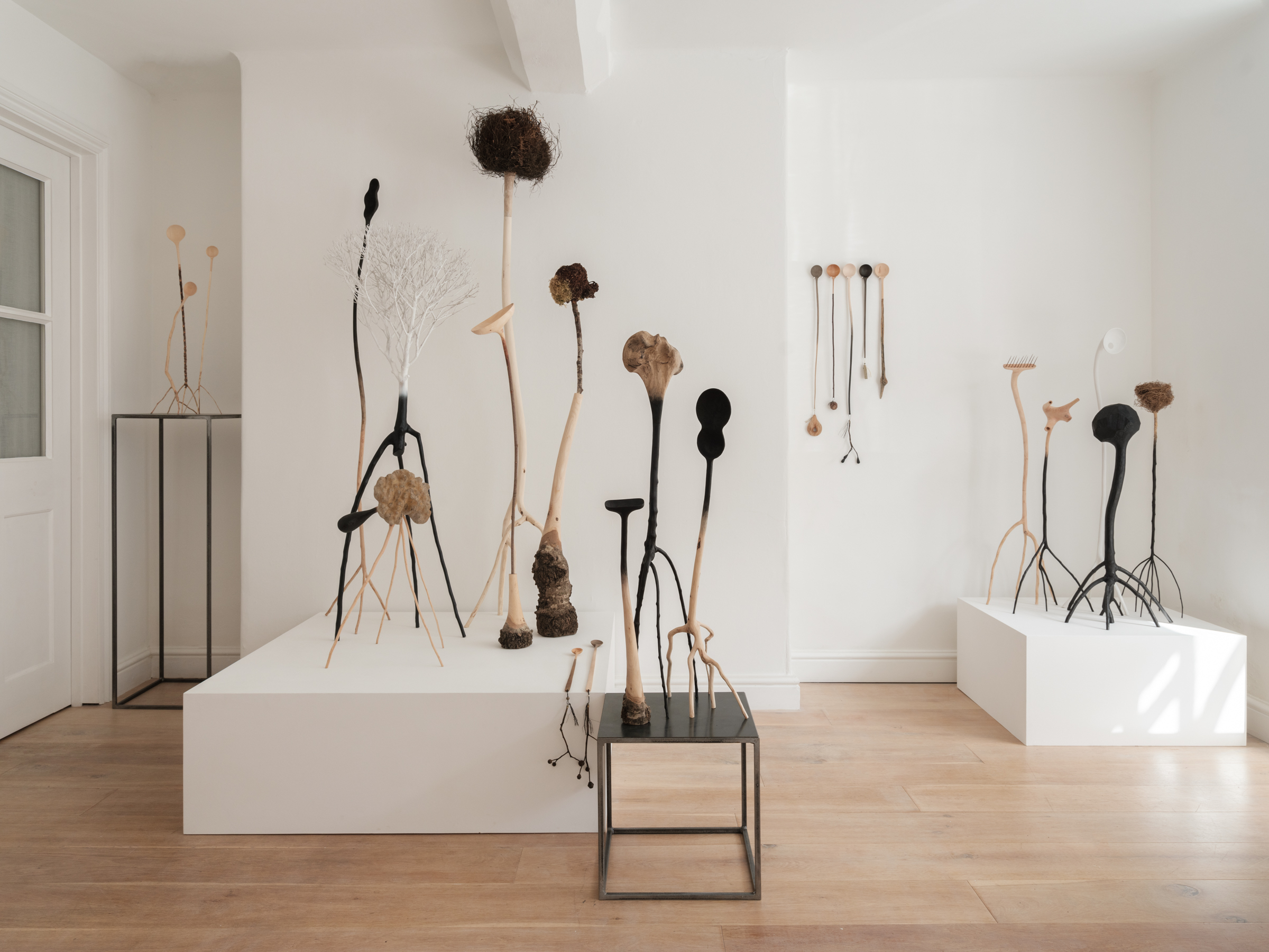 Image for exhibition titled Walking the Wild