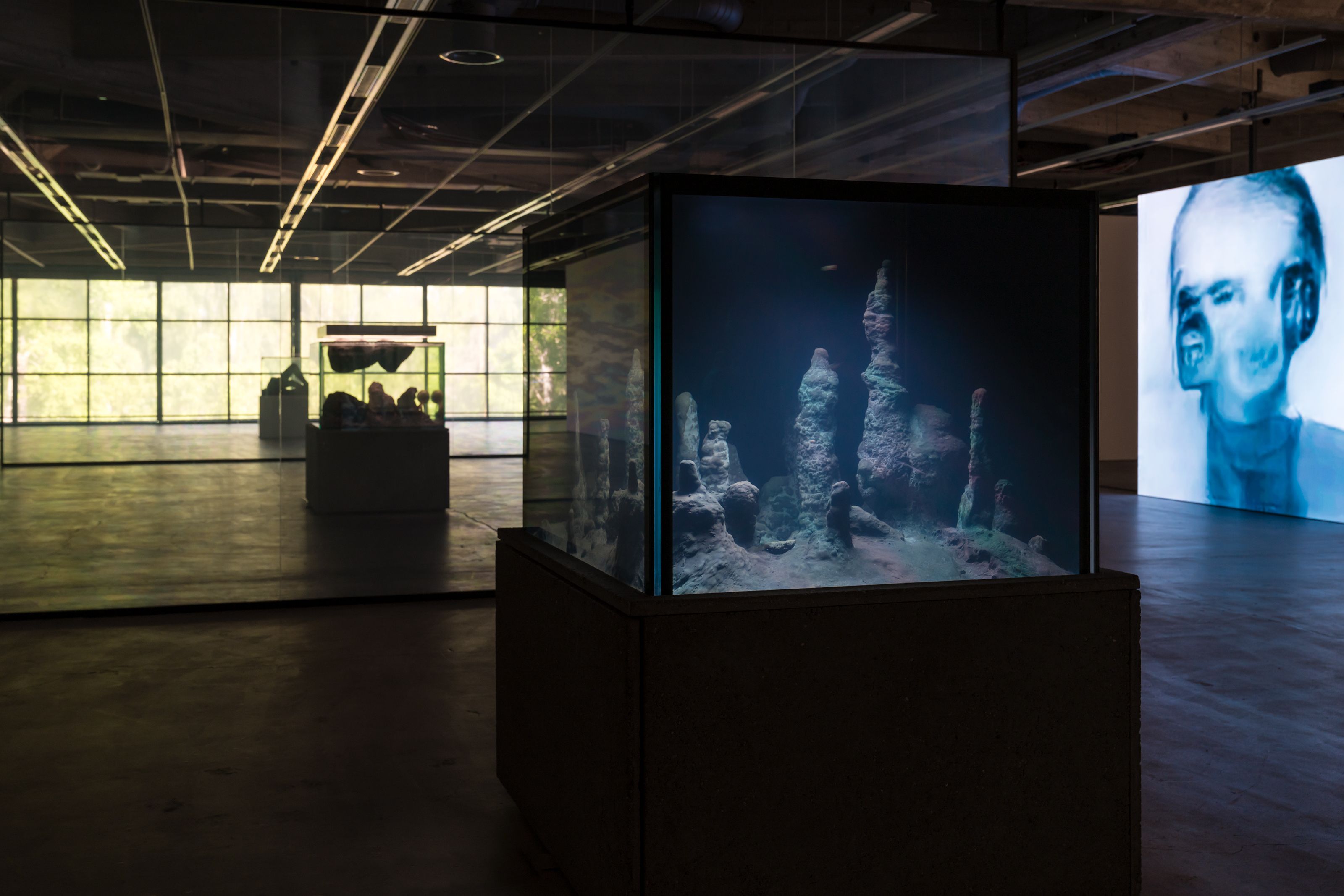 Installation view, ‘Chimeras,’ Saastamoinen Foundation & EMMA – Espoo Museum of Modern Art
