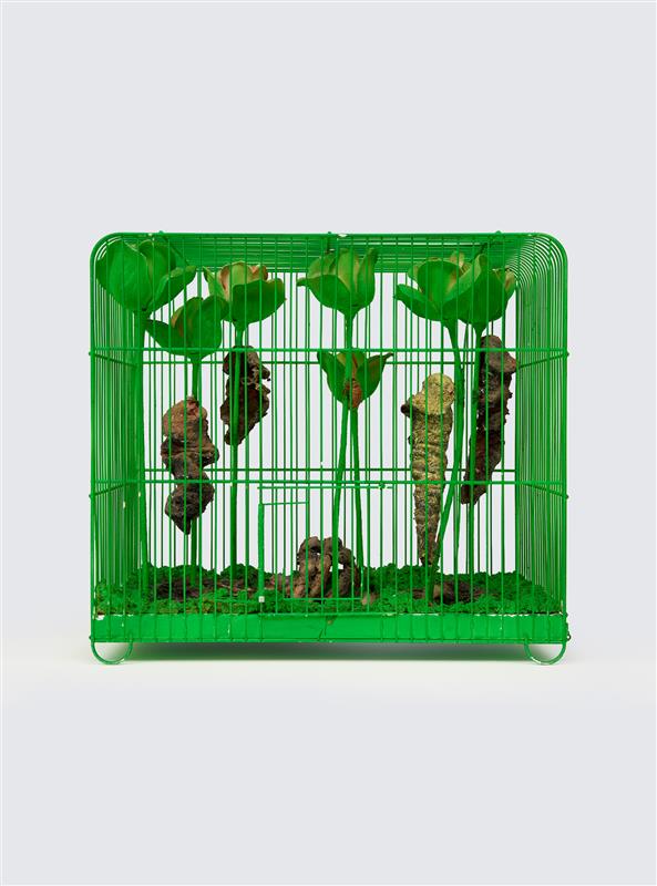 Image for right hero section