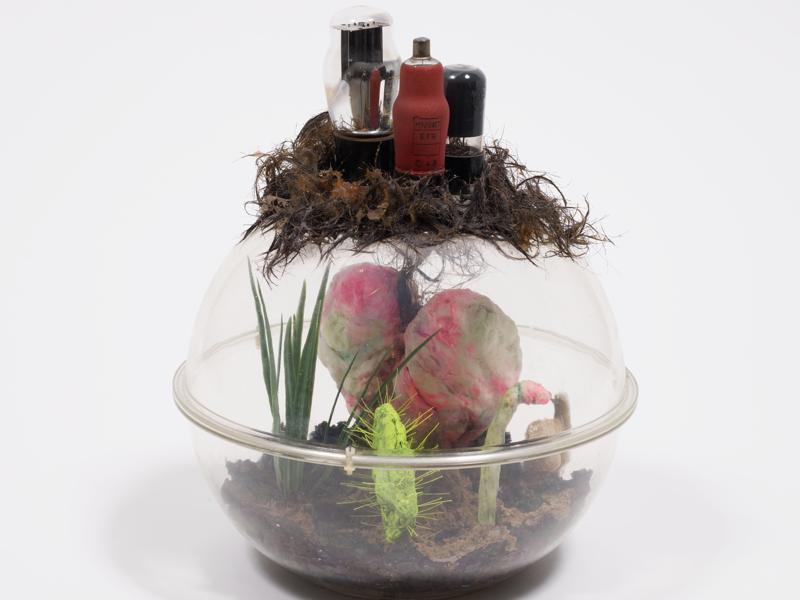 Image for Irradiated Gardens
