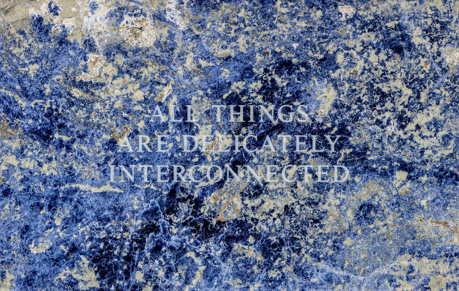 Thumbnail image for exhibition titled Jenny Holzer