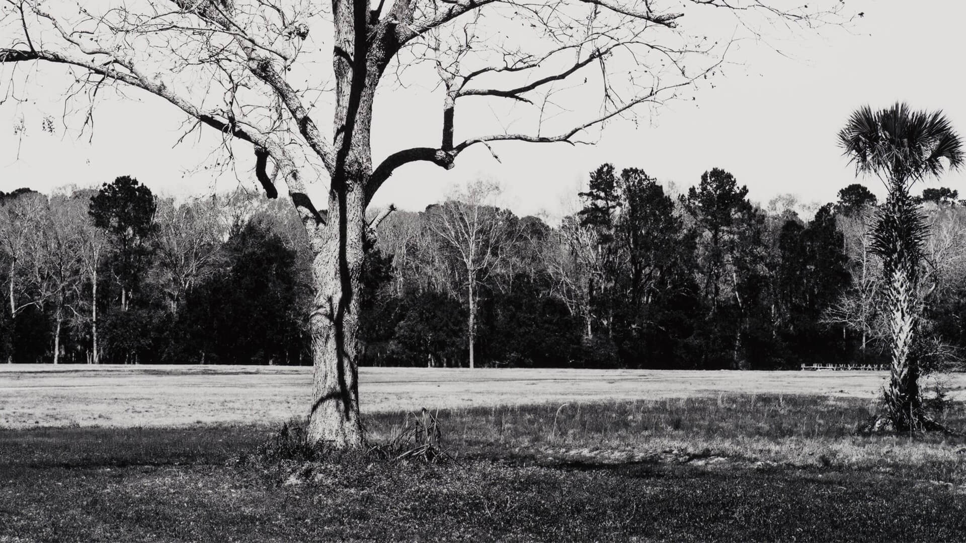 Thumbnail image for exhibition titled Charles Gaines