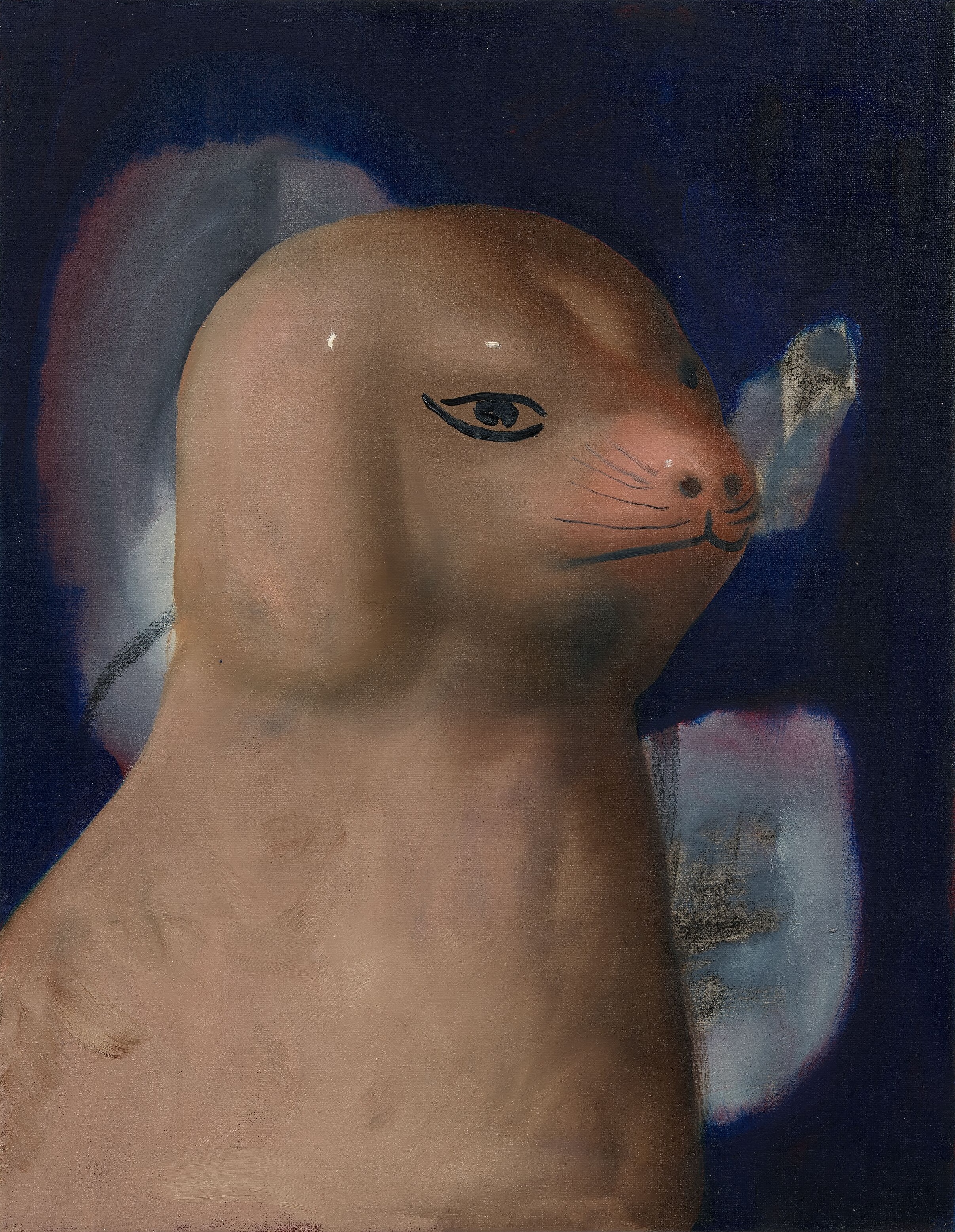 Image for exhibition titled Ambera Wellmann