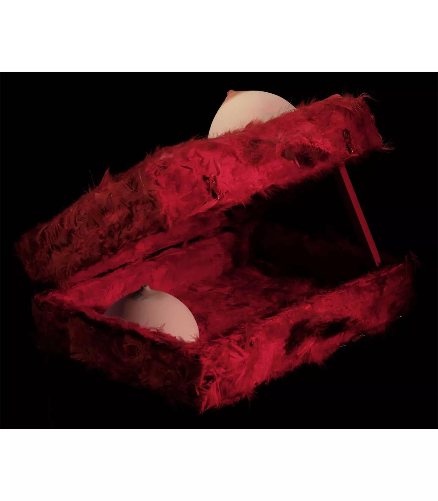 Image for exhibition 