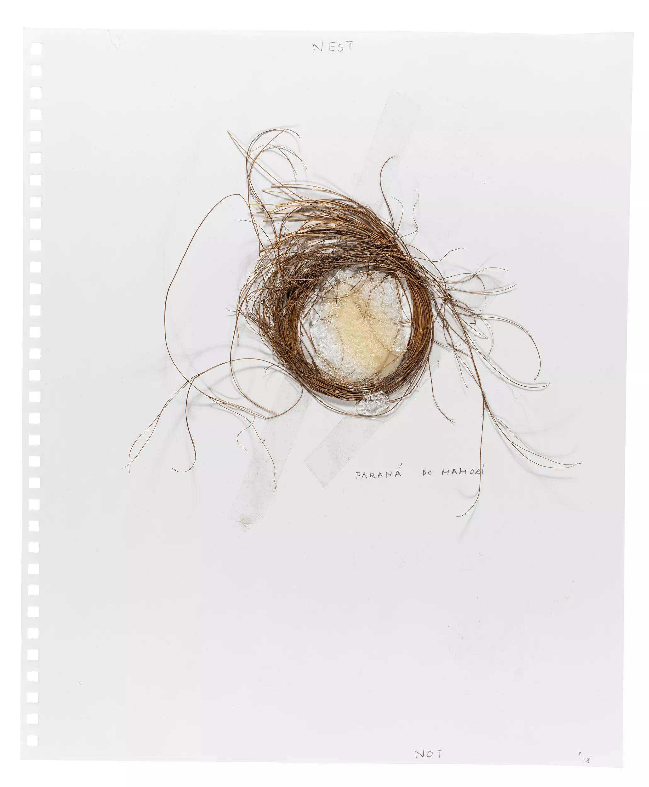 Image for exhibition titled Not Vital