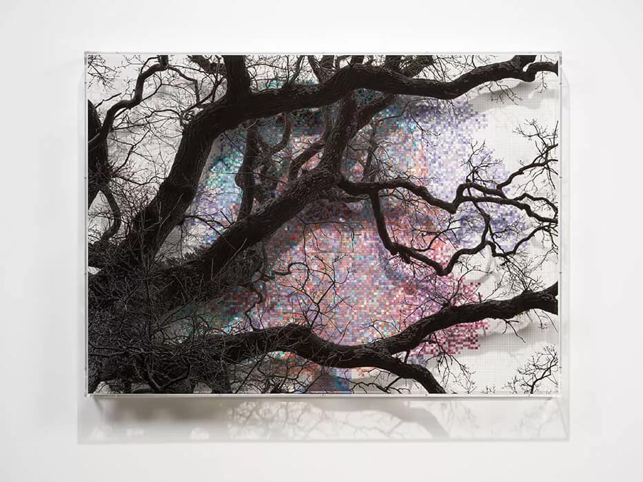 Thumbnail image for exhibition titled Numbers and Trees: London Series 2, Tree #5, Falcon Highwalk