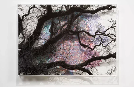 Thumbnail image for exhibition titled Numbers and Trees: London Series 2, Tree #5, Falcon Highwalk