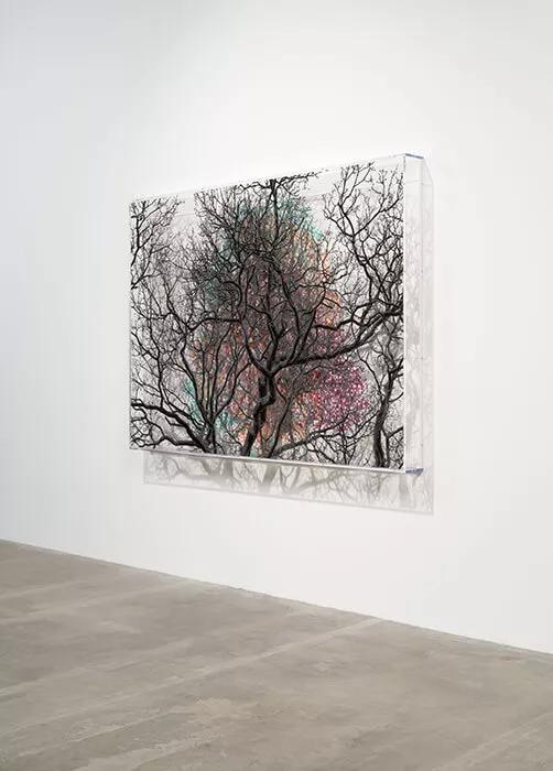 Thumbnail image for exhibition titled Numbers and Trees: London Series 2, Tree #4, Millennium Bridge