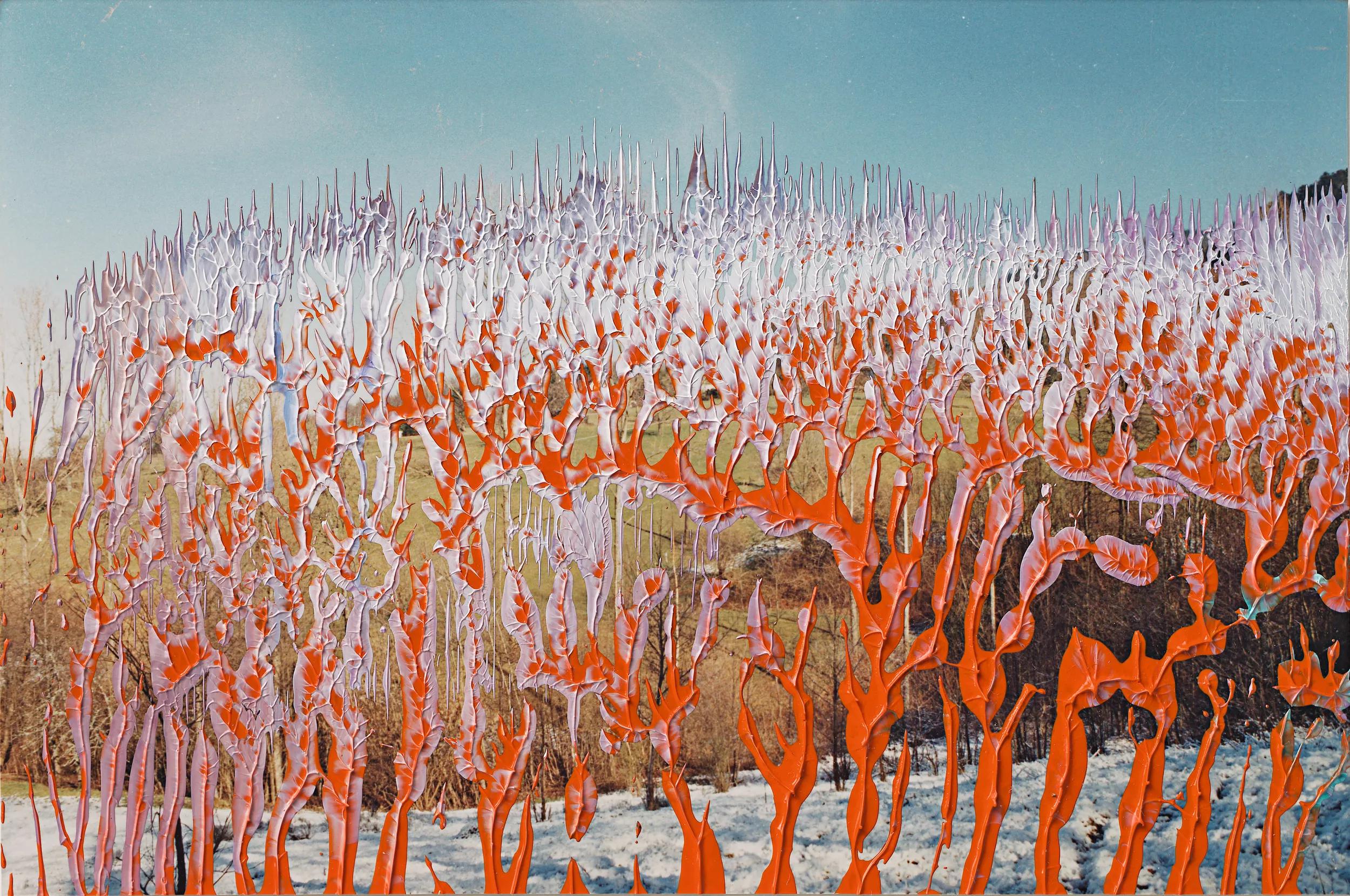 Image for exhibition titled Gerhard Richter