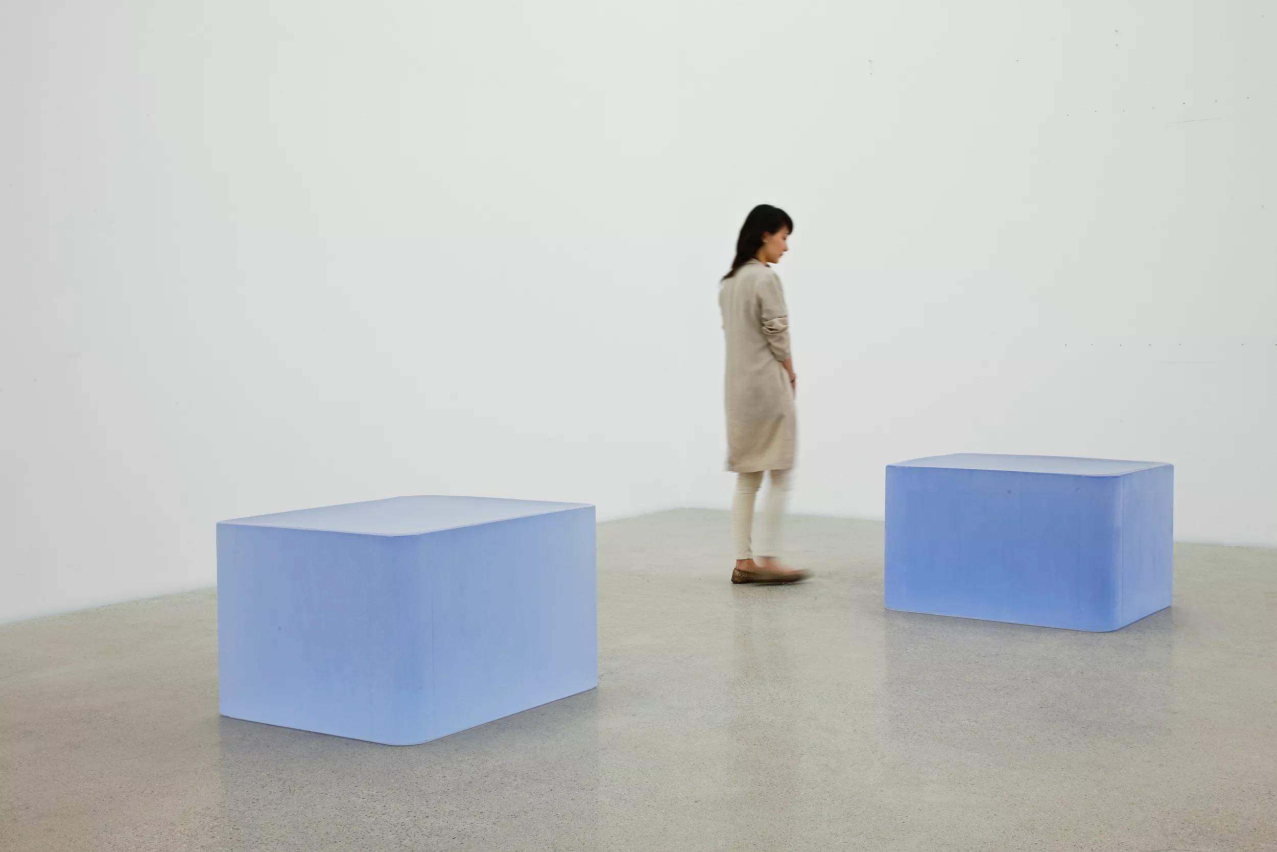 Image for Roni Horn