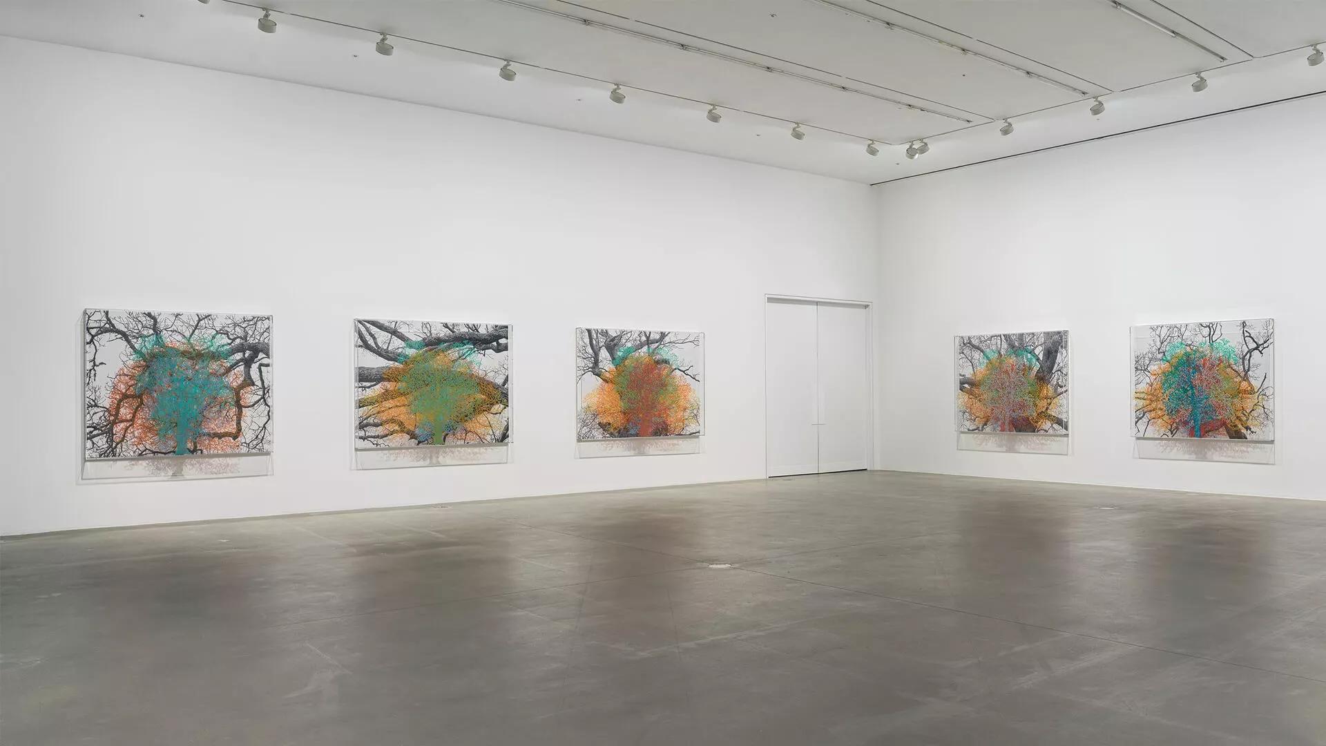Image for exhibition 