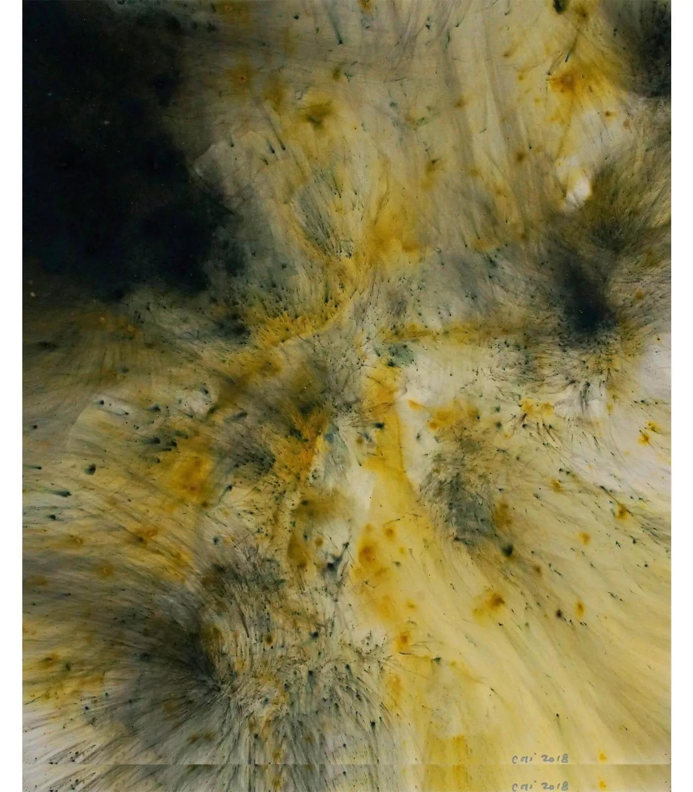 Image for exhibition 