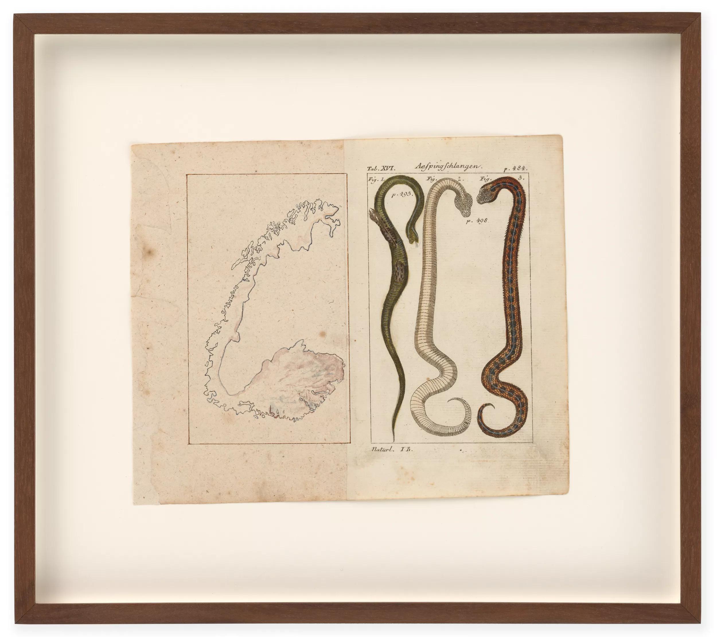 Image for exhibition titled Anri Sala