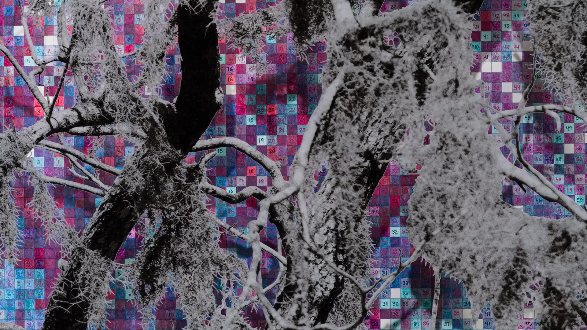 Image for exhibition 