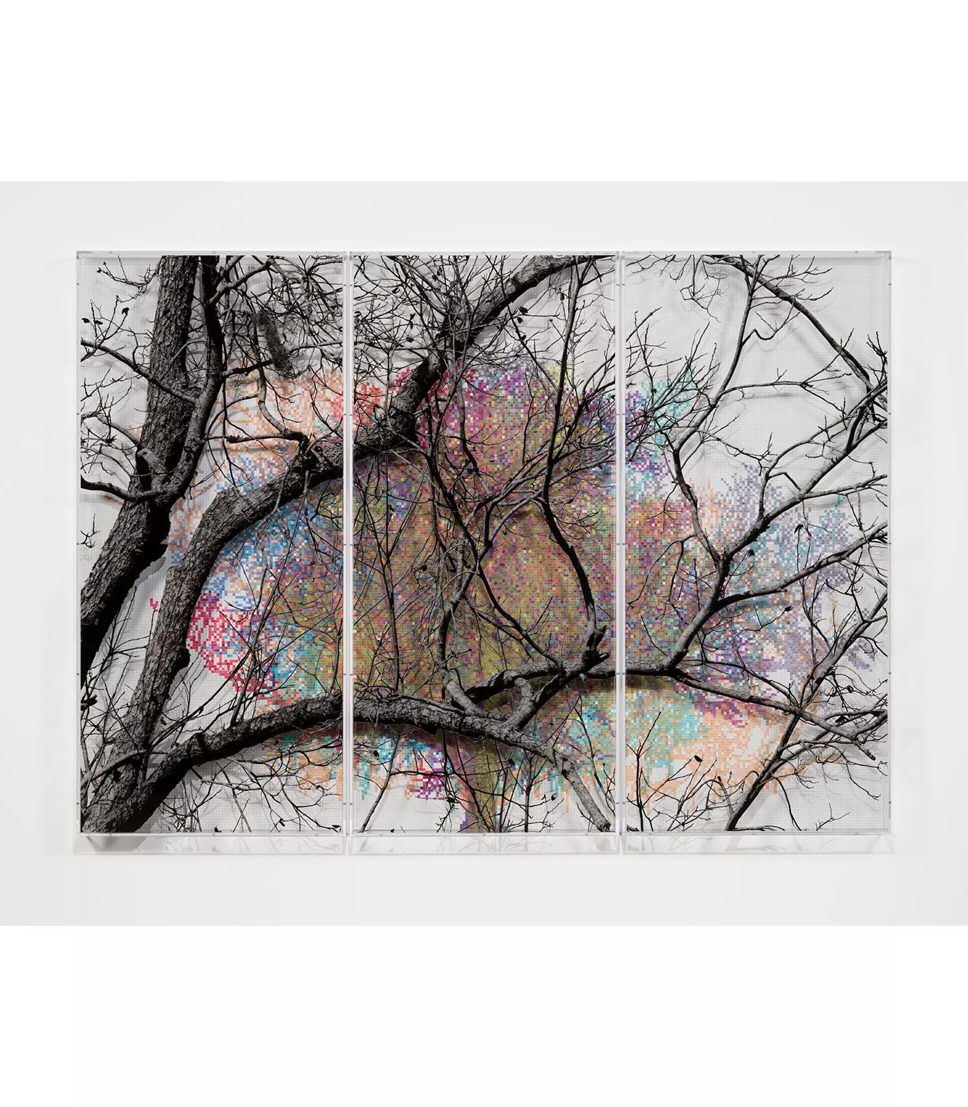 Image for exhibition titled Charles Gaines
