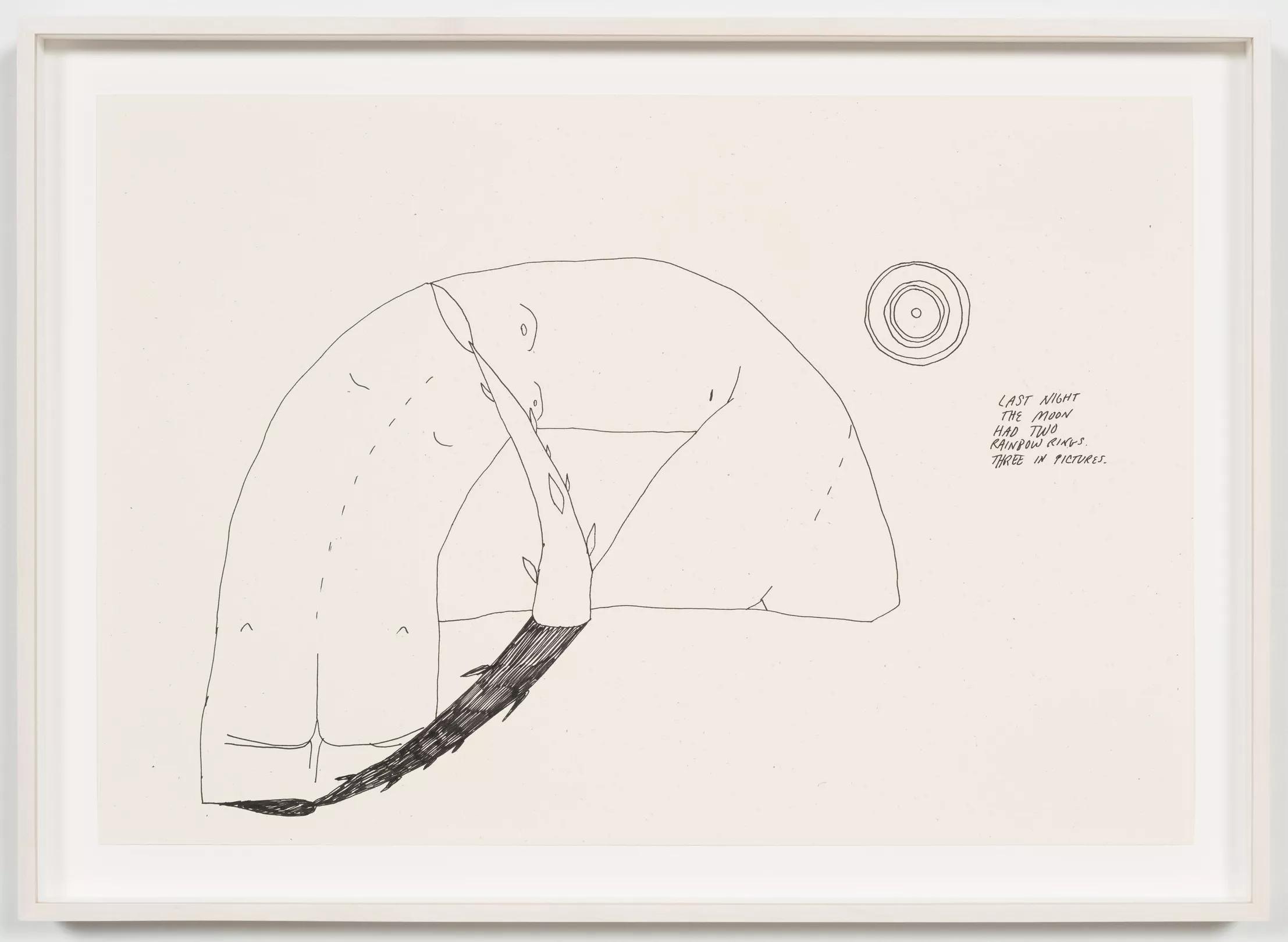 Image for exhibition titled Christina Quarles