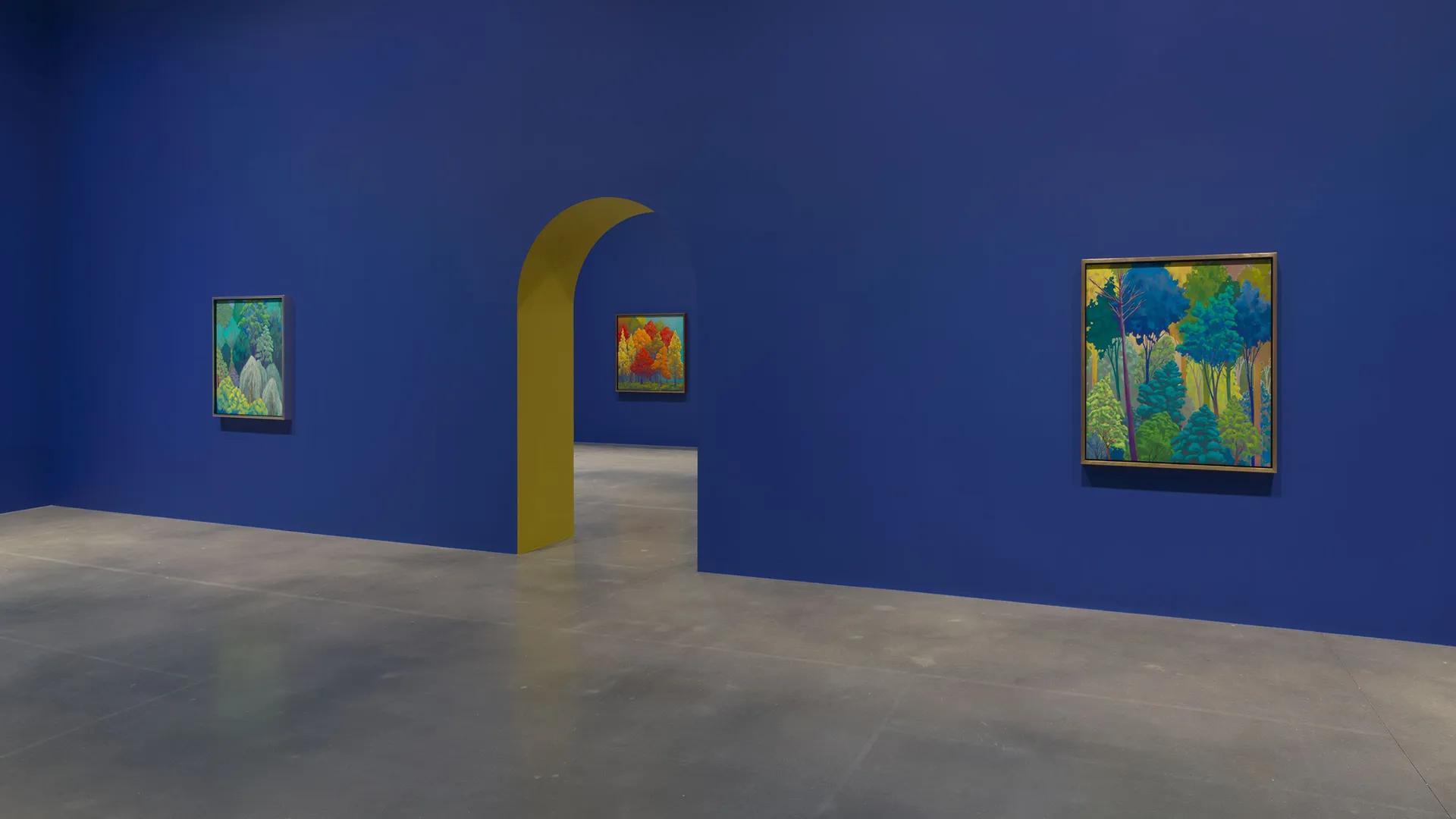 Installation view image for Installation Views