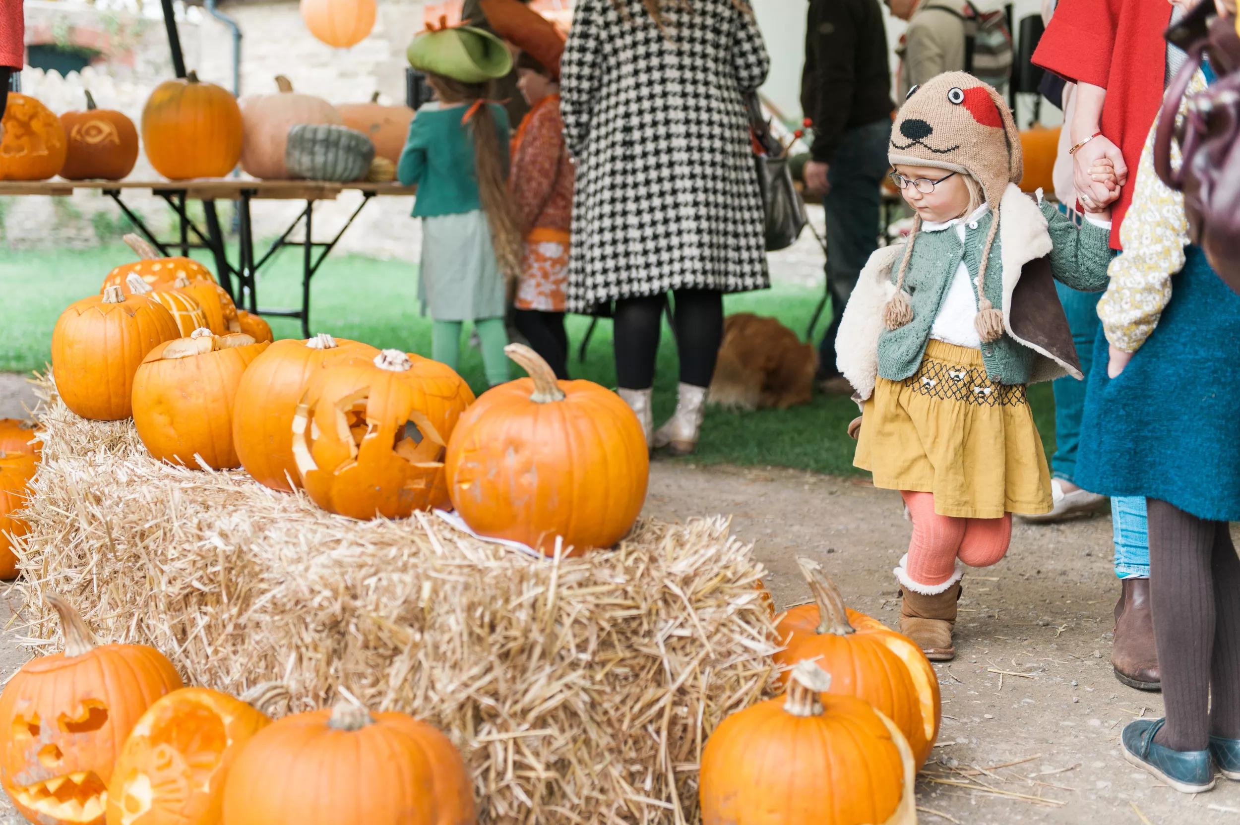 Hero image for event titled Pumpkin Carving Workshops 2019