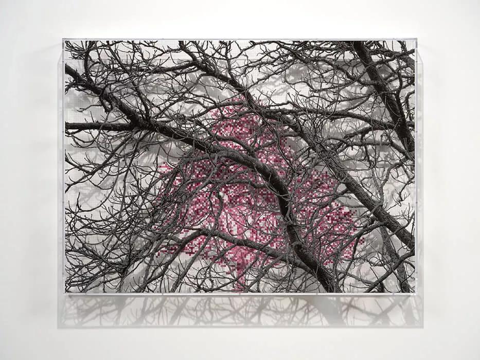 Thumbnail image for exhibition titled Numbers and Trees: London Series 2, Tree #1, Blomfield Street