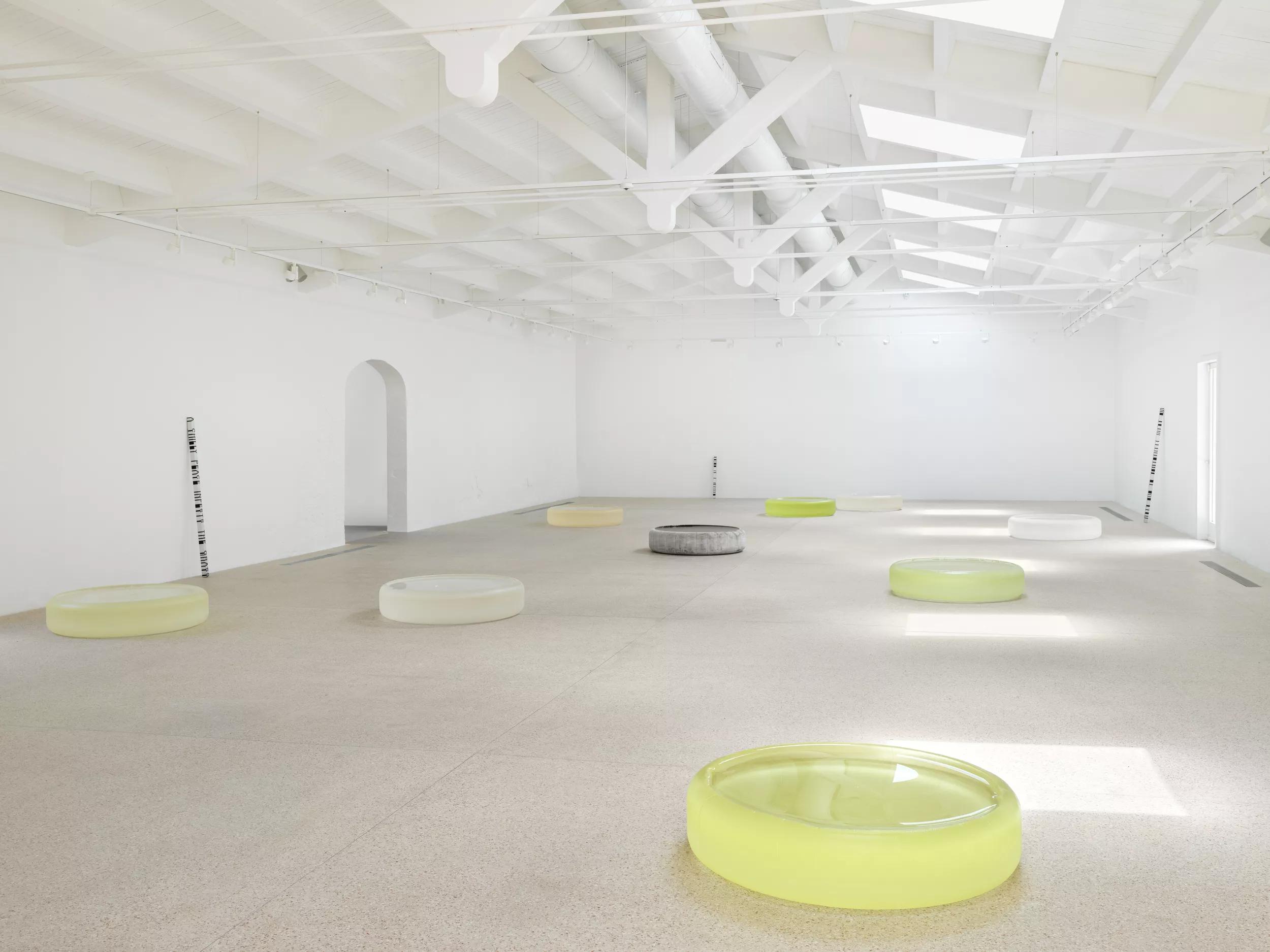 Image for exhibition titled Roni Horn