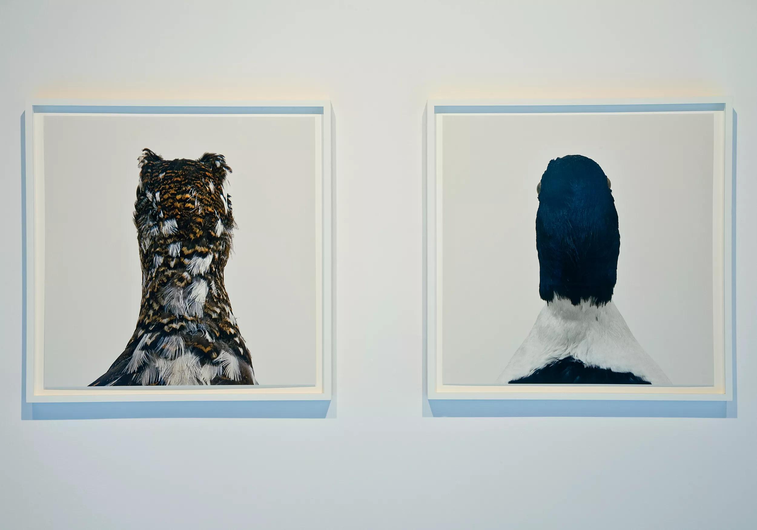 Image for Roni Horn