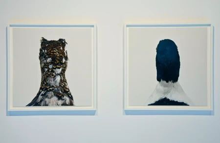 Thumbnail image for exhibition titled Roni Horn