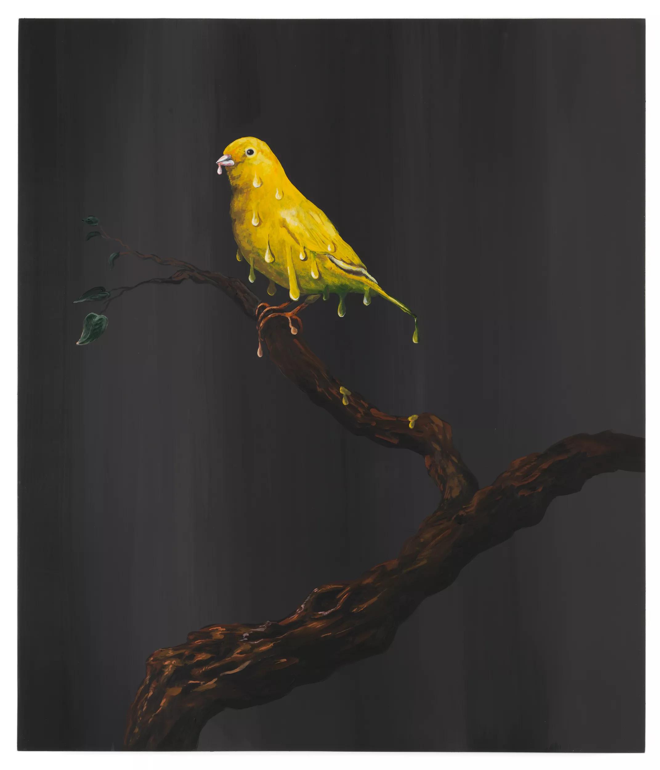 Image for exhibition 