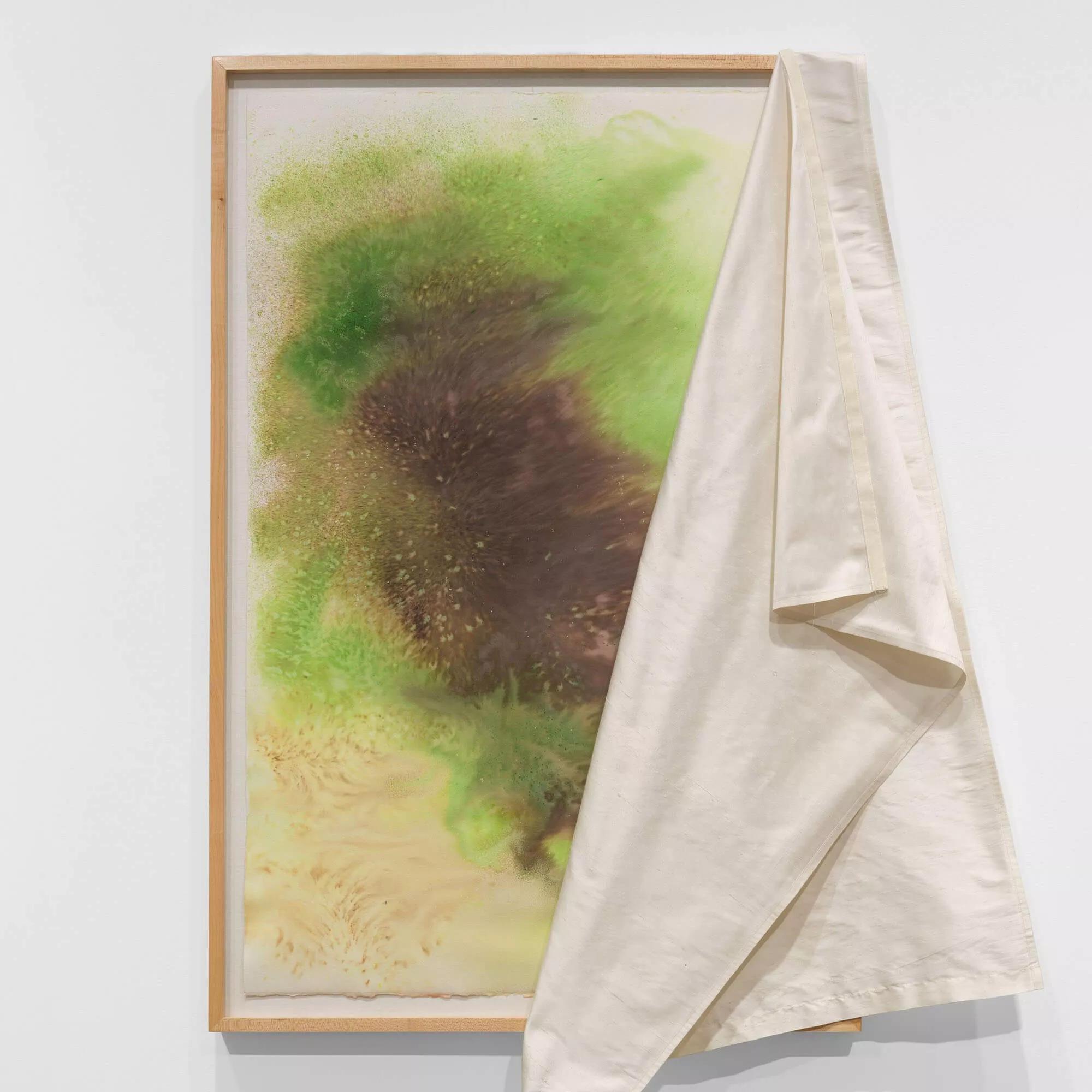 Hero image for exhibition titled David Hammons