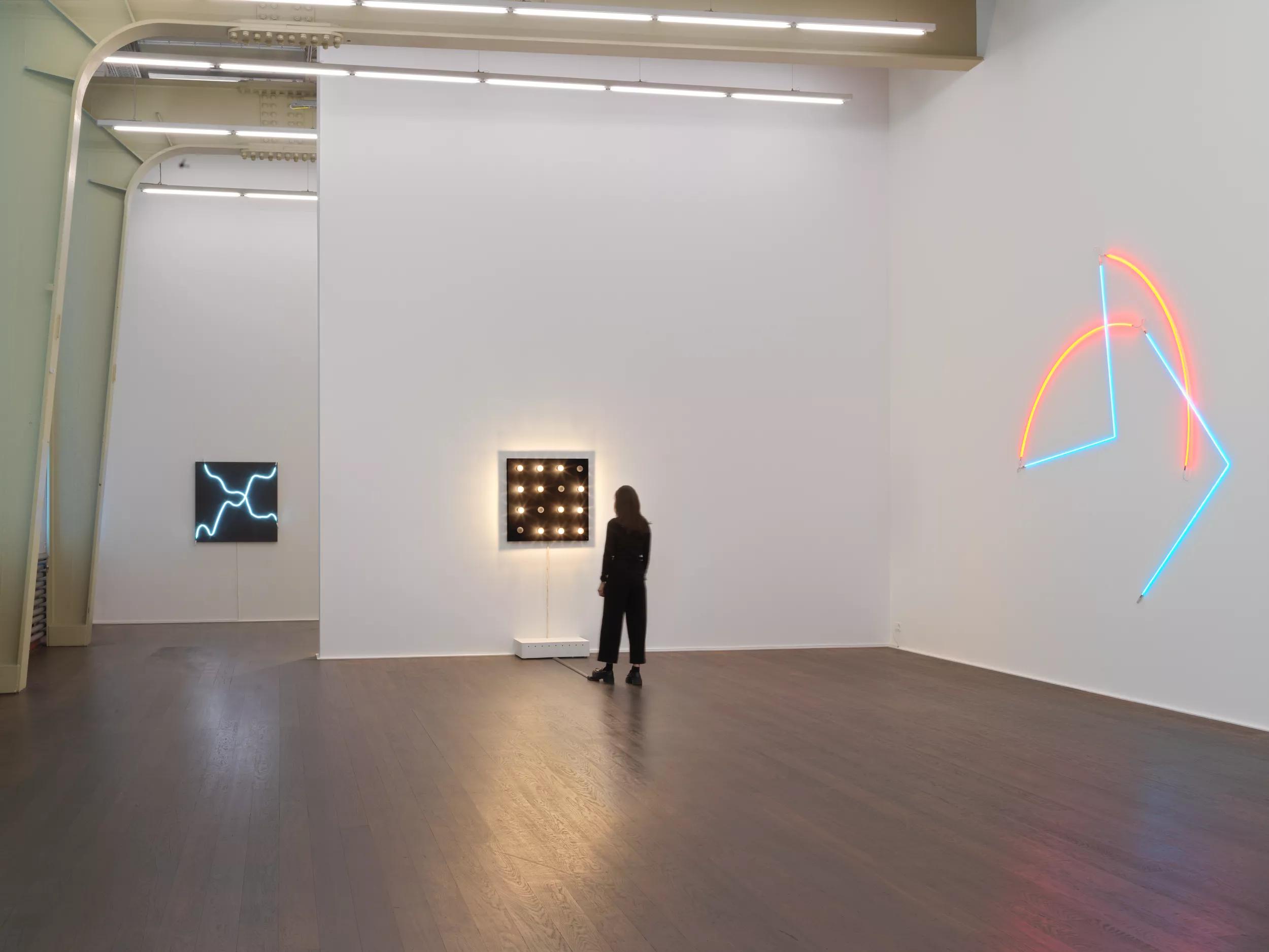Hero image for event titled Walkthrough: ‘François Morellet. Neons’ with Laetitia Catoir, Senior Director Hauser & Wirth