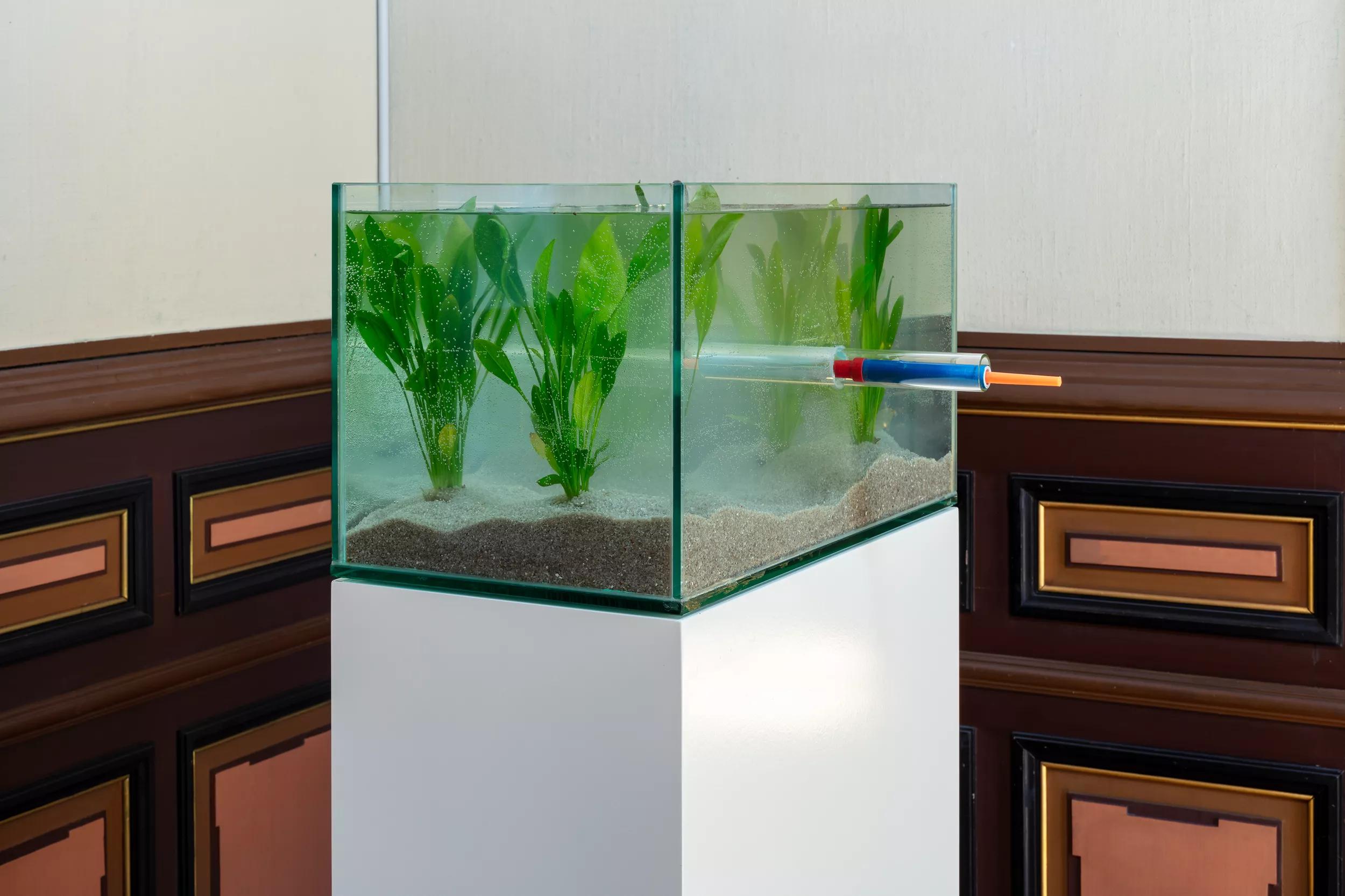 Image for ROMAN SIGNER