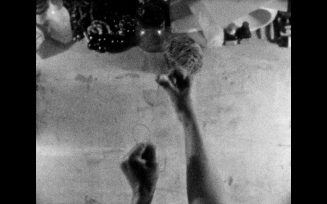Image for exhibition titled Geta Brătescu