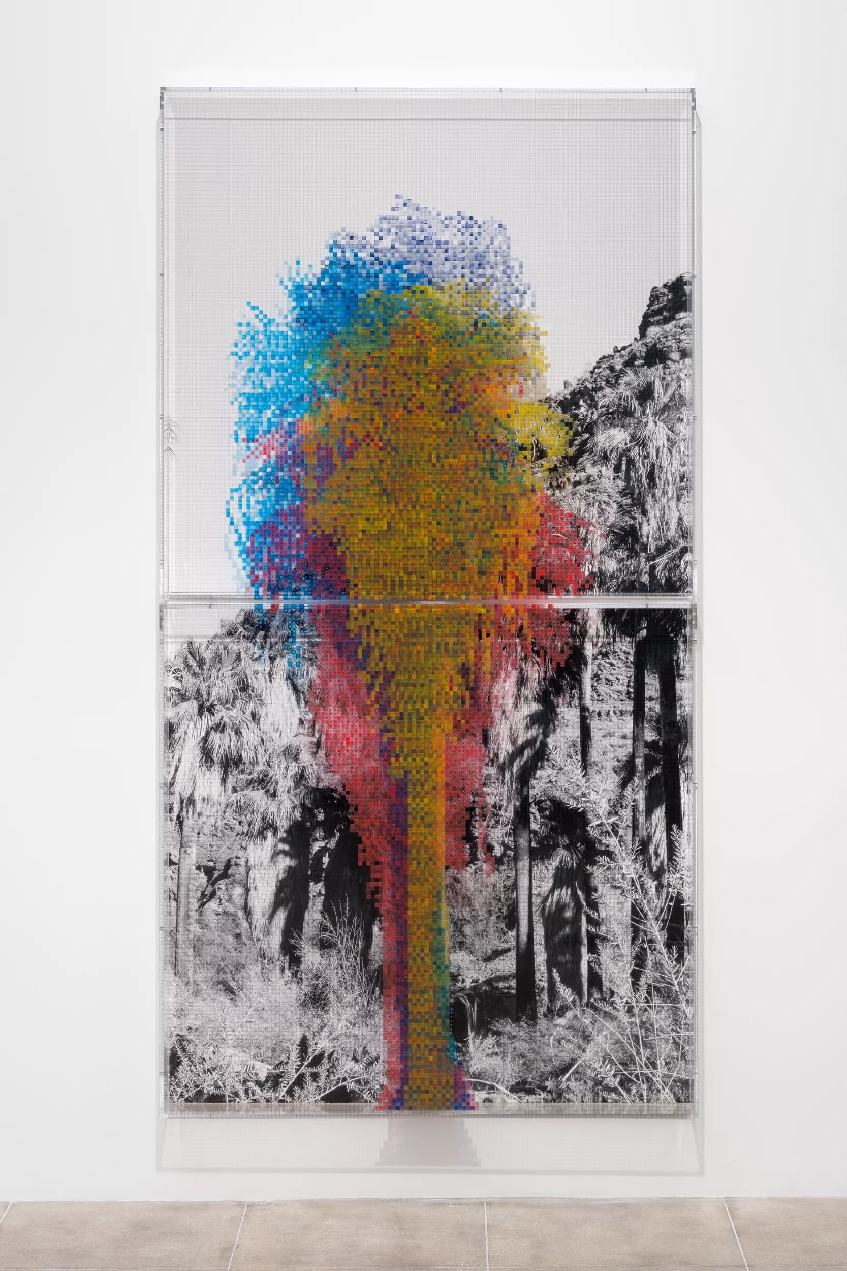 Image for exhibition 