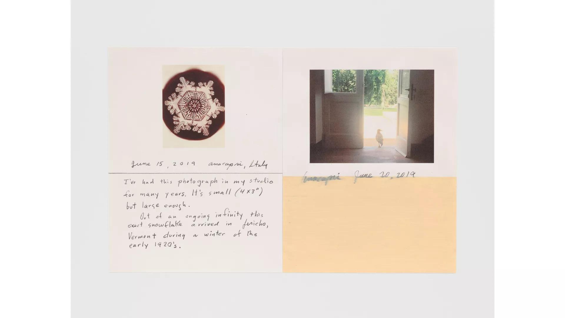 Thumbnail image for exhibition titled Explore all 33 works from ‘An Elusive Red Figure...’
